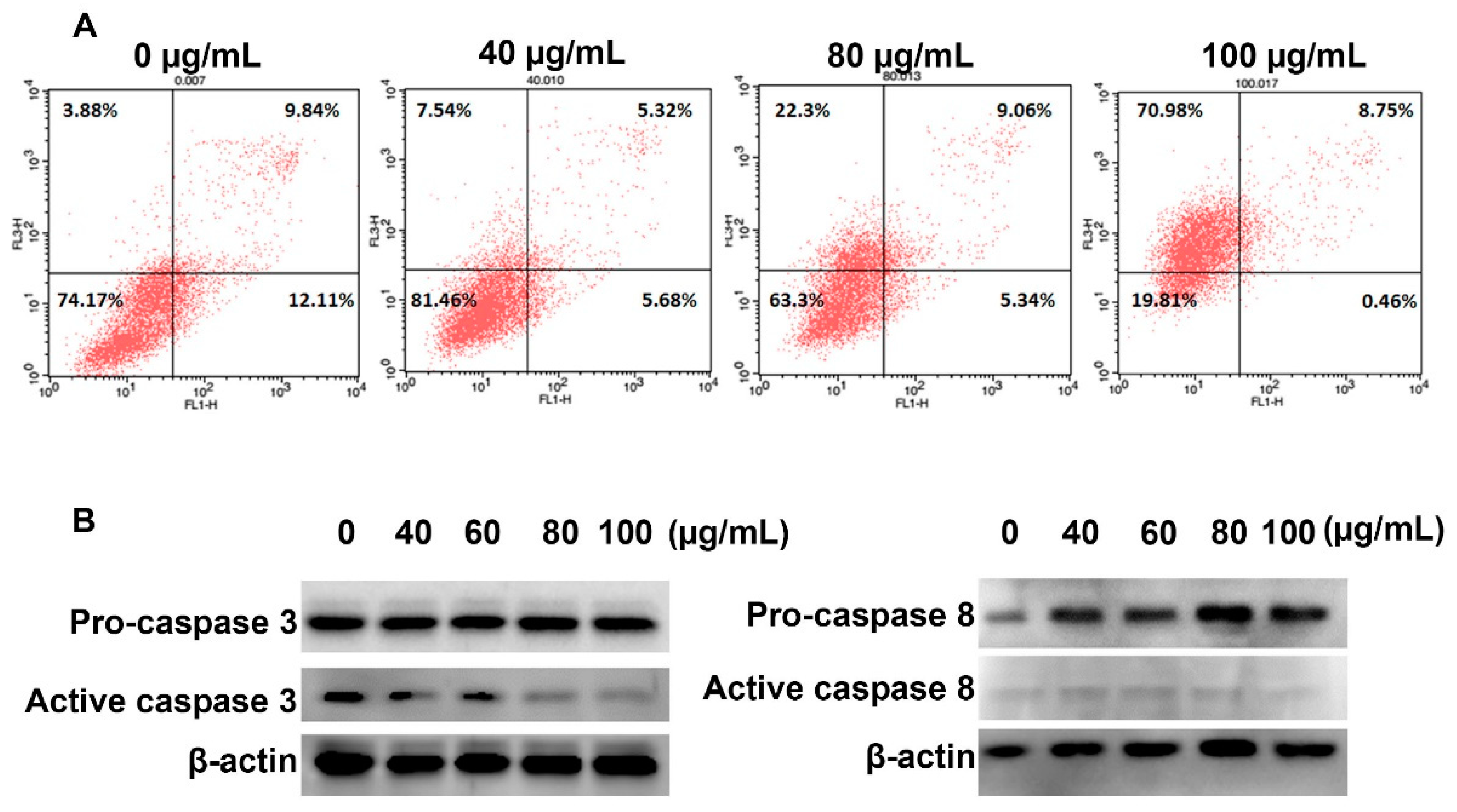 Molecules 24 03054 g006