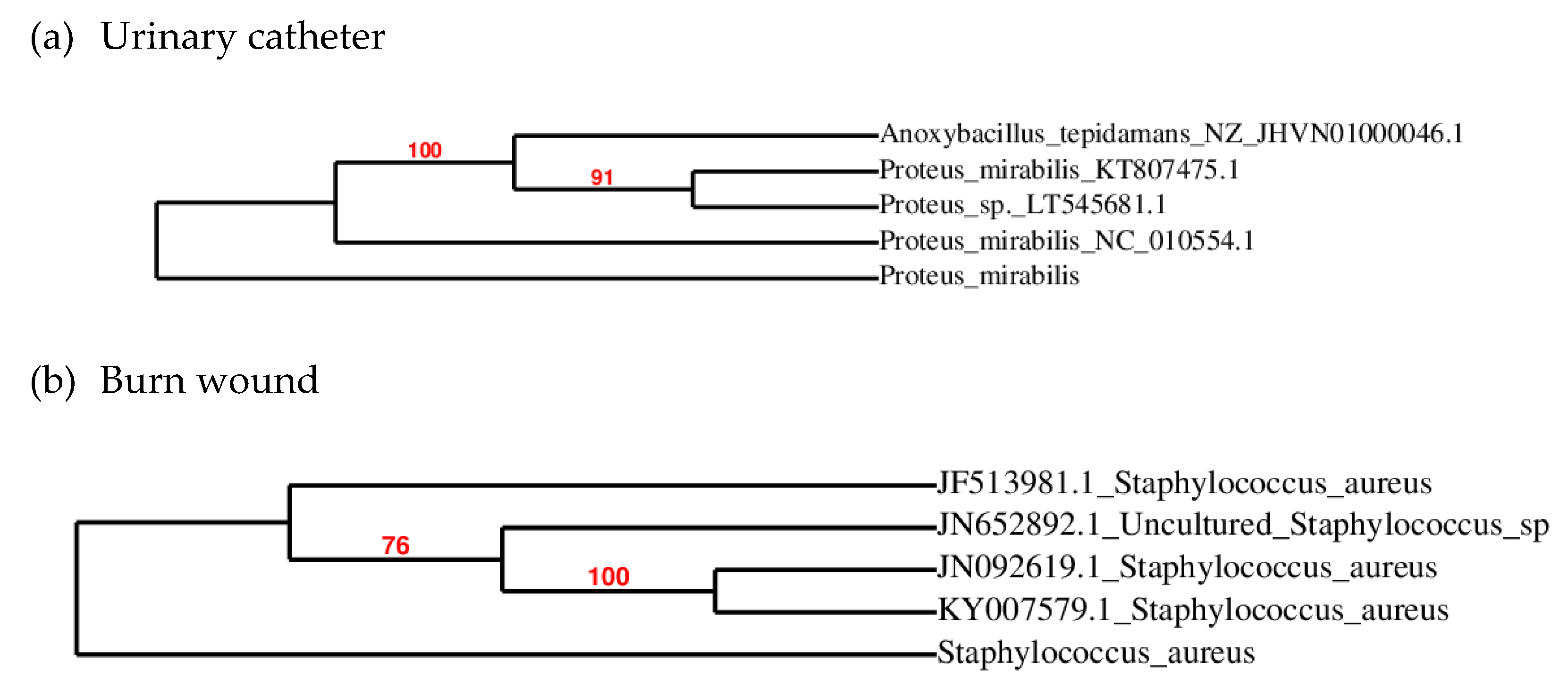 Molecules 24 03055 g001 Molecules 24 03055 g001