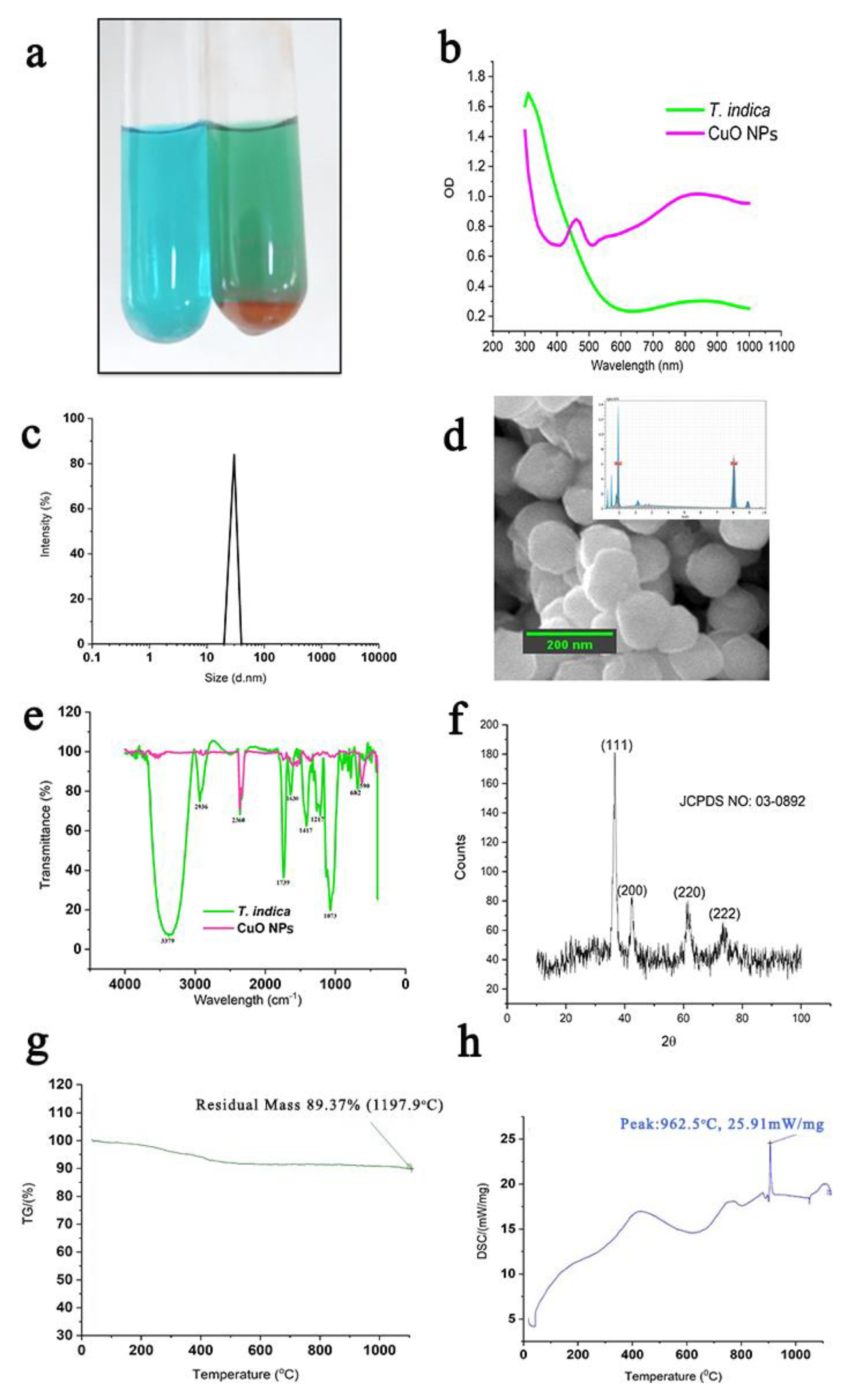 Molecules 24 03055 g002 Molecules 24 03055 g002