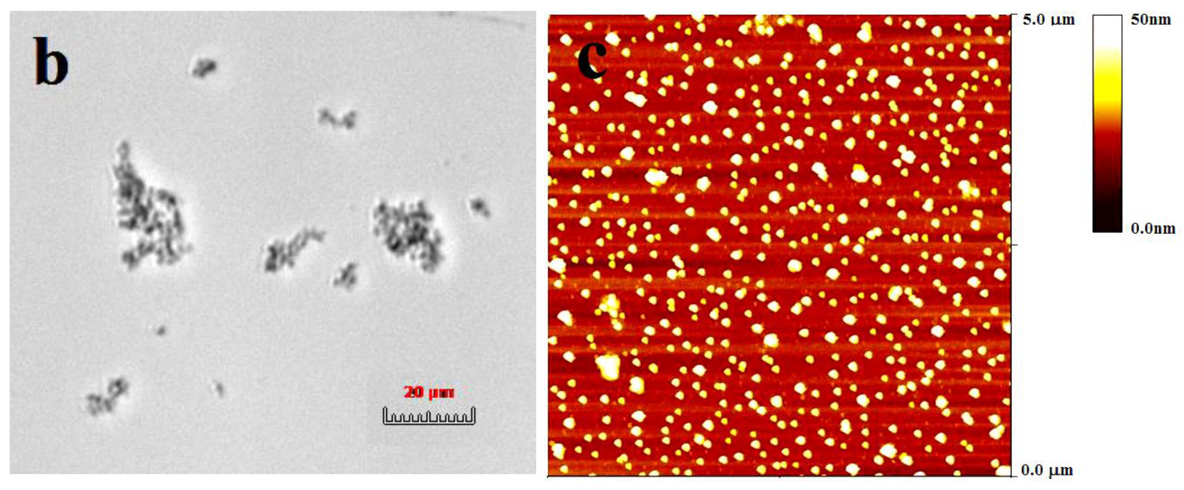 Molecules 24 03056 g008b Molecules 24 03056 g008b