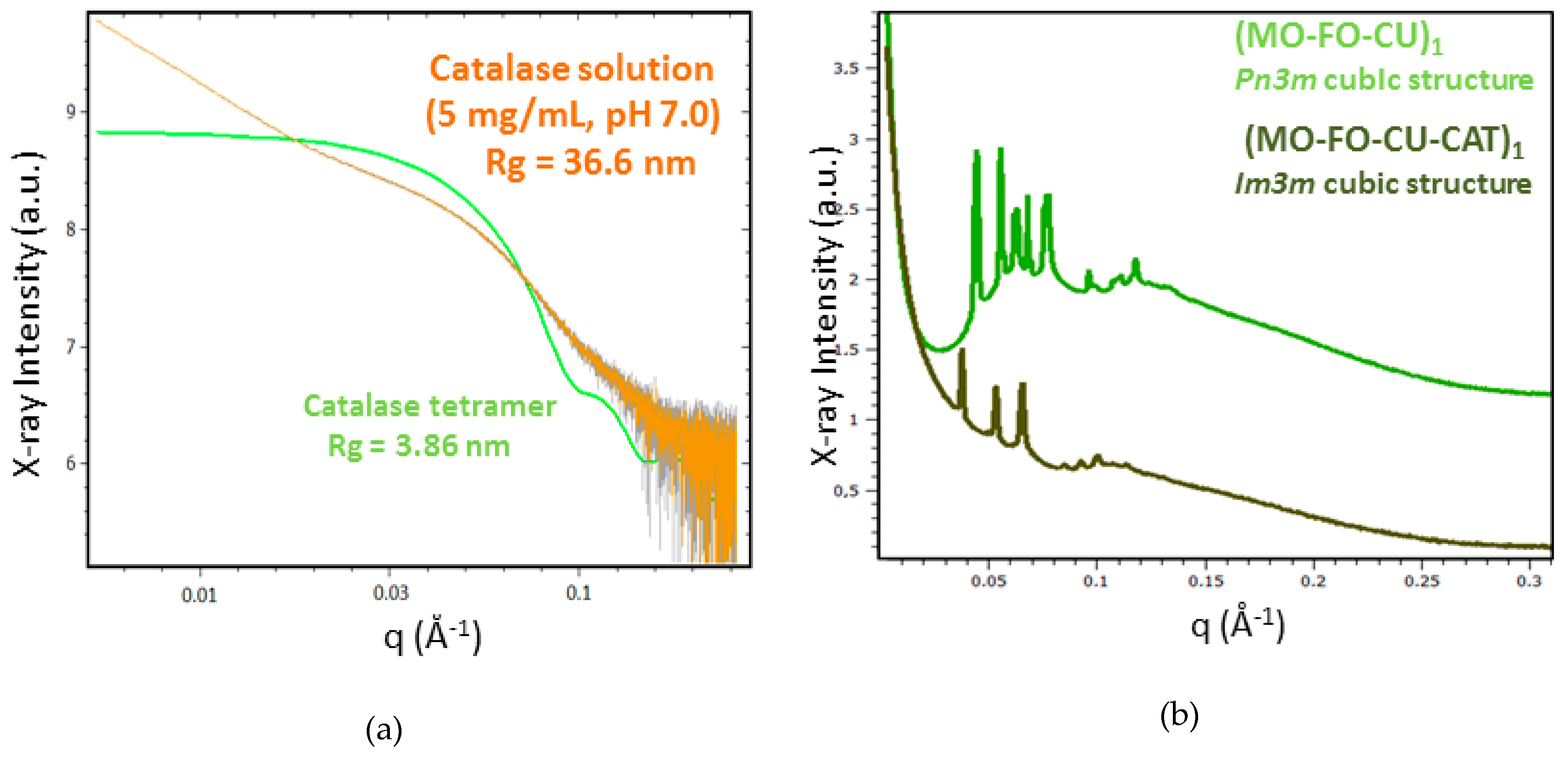 Molecules 24 03058 g005a