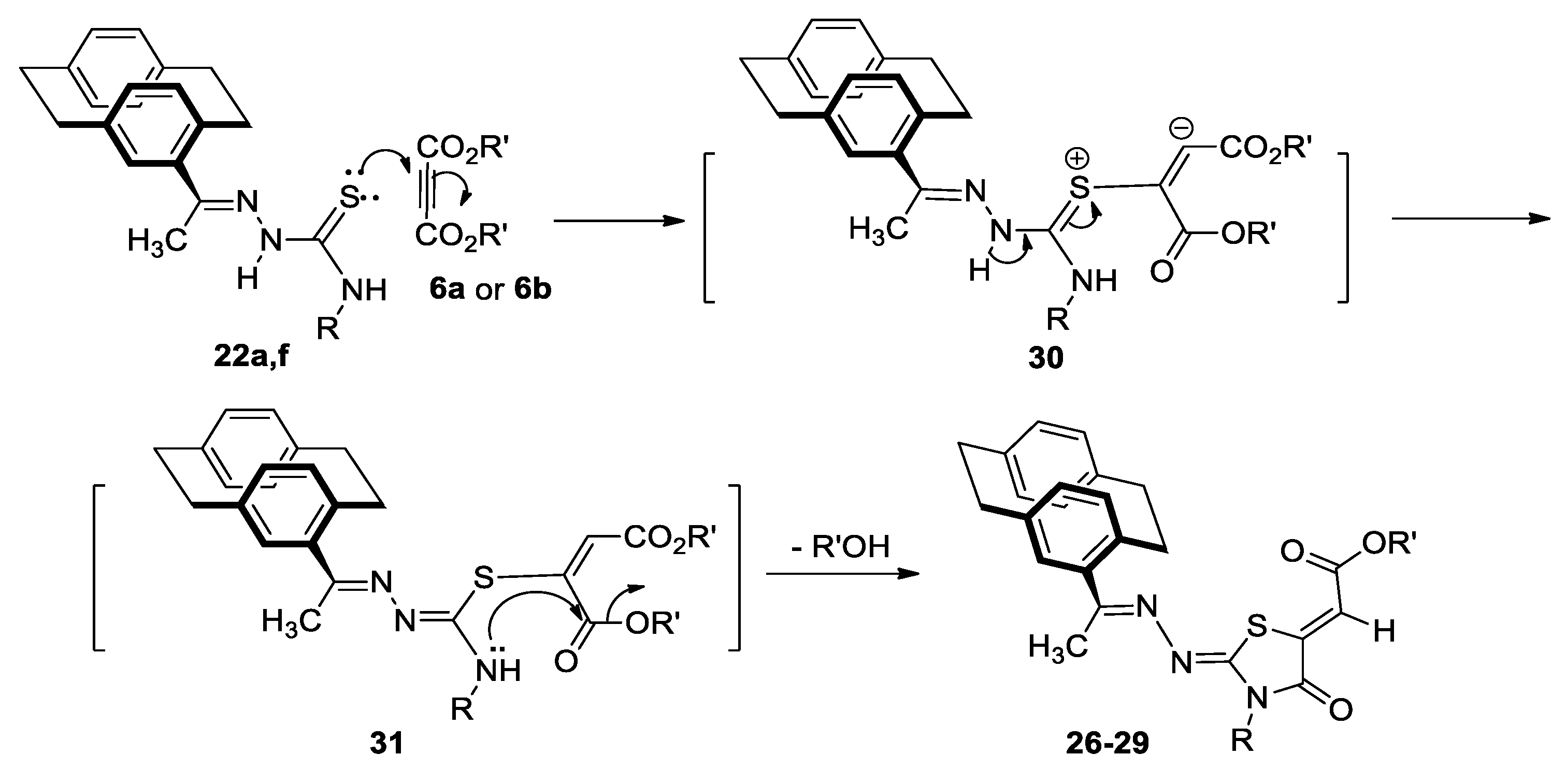 Molecules 24 03069 sch009