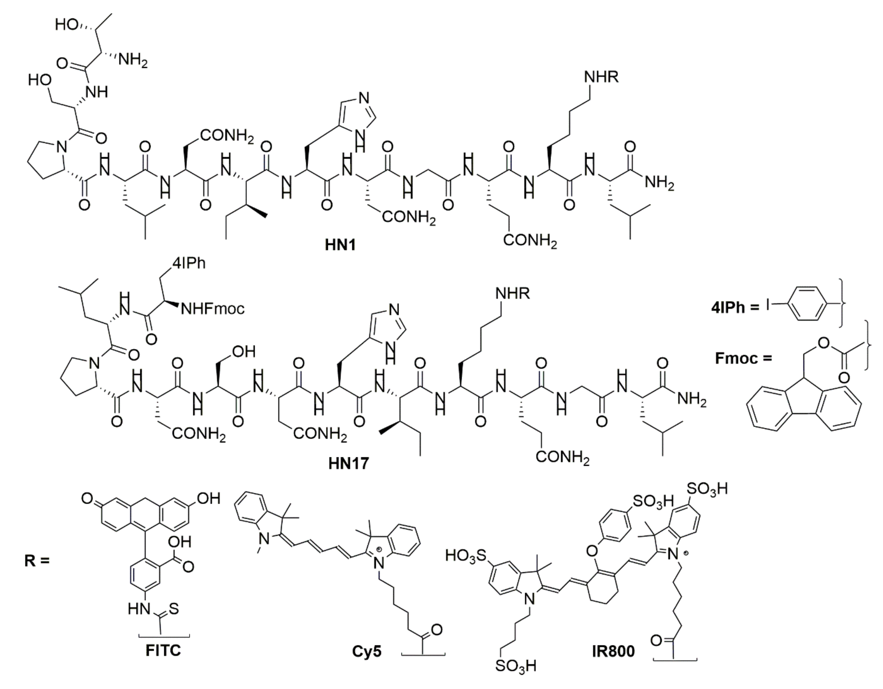 Molecules 24 03070 g001