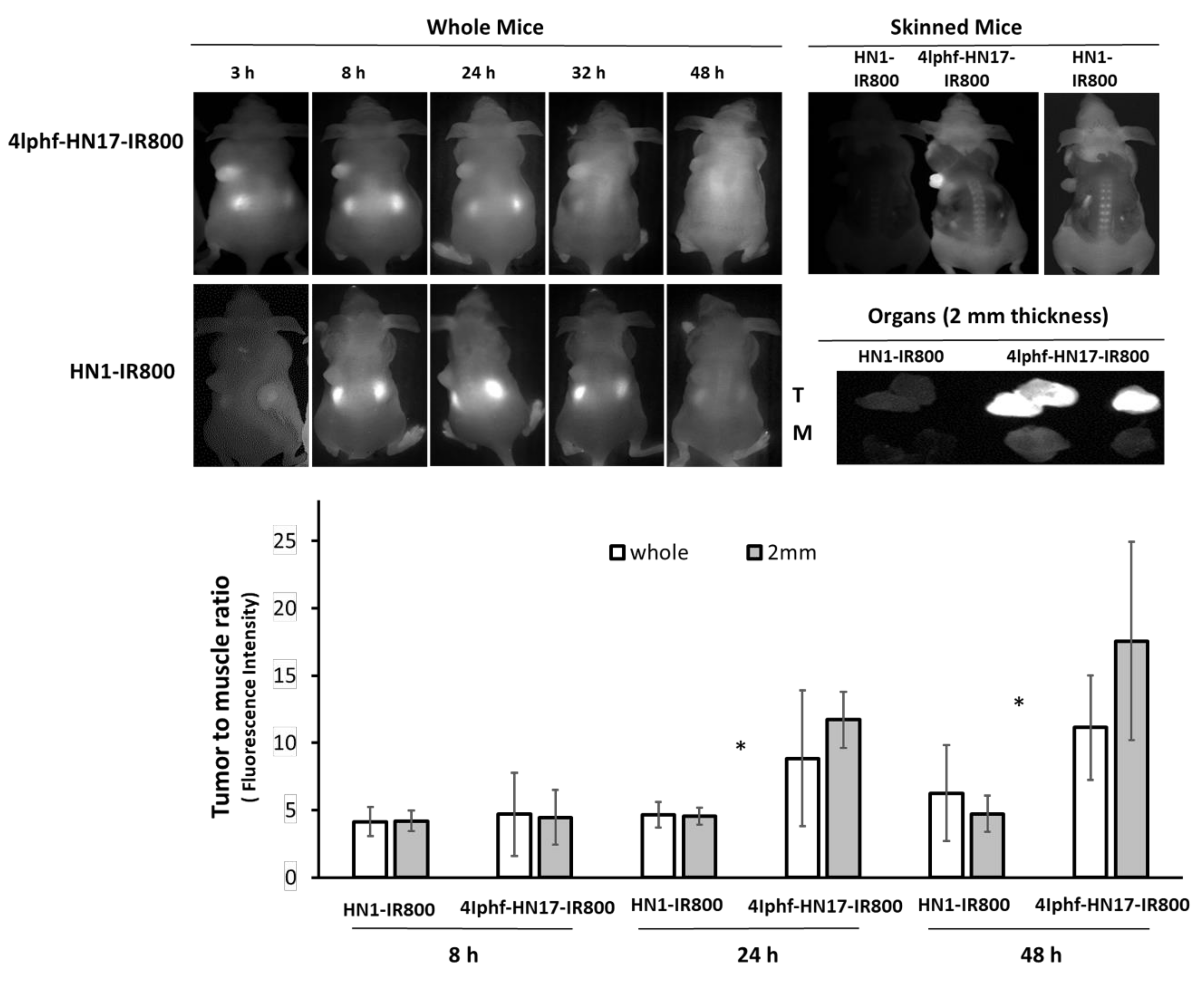 Molecules 24 03070 g006