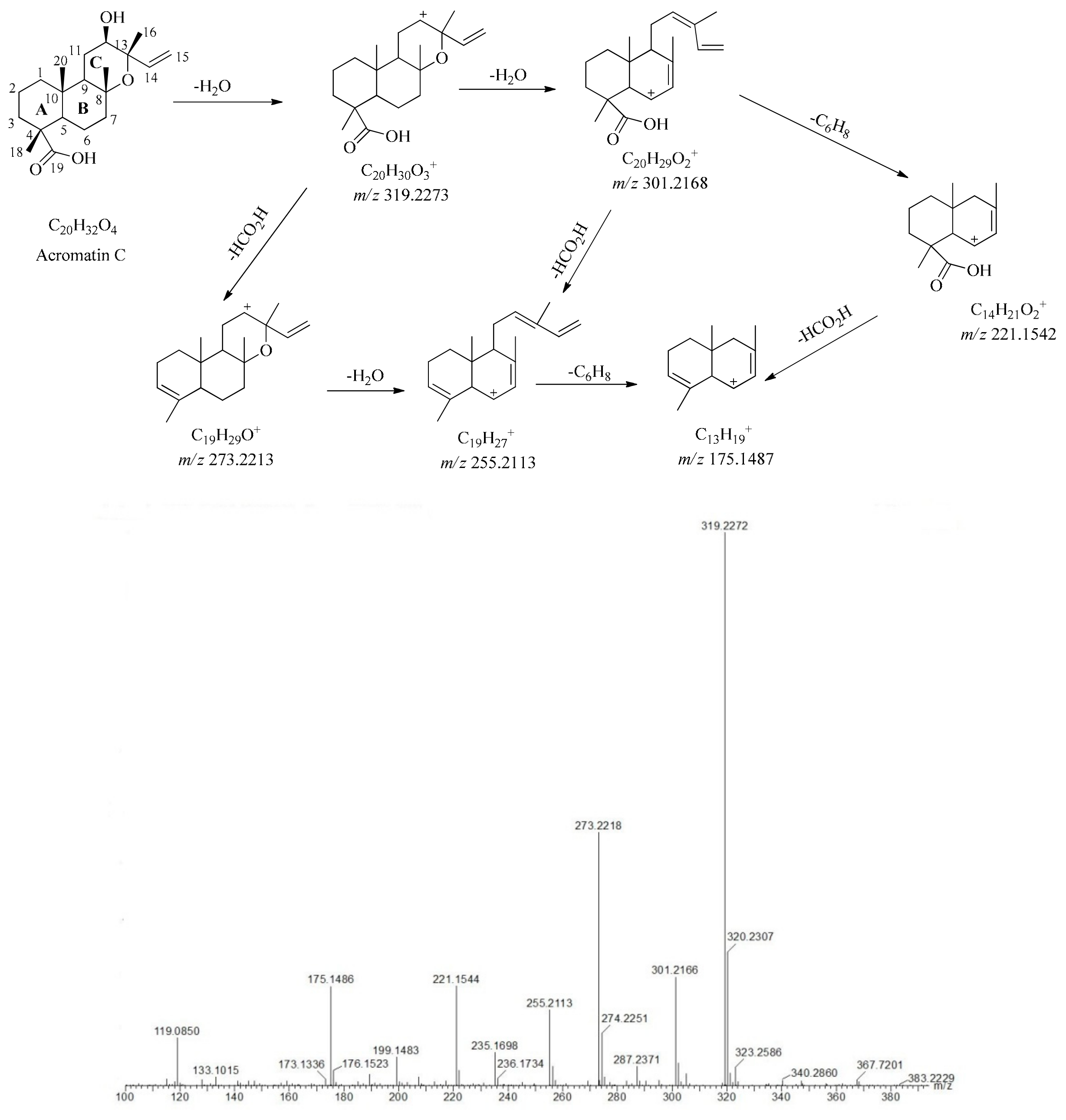 Molecules 24 03073 g005 Molecules 24 03073 g005