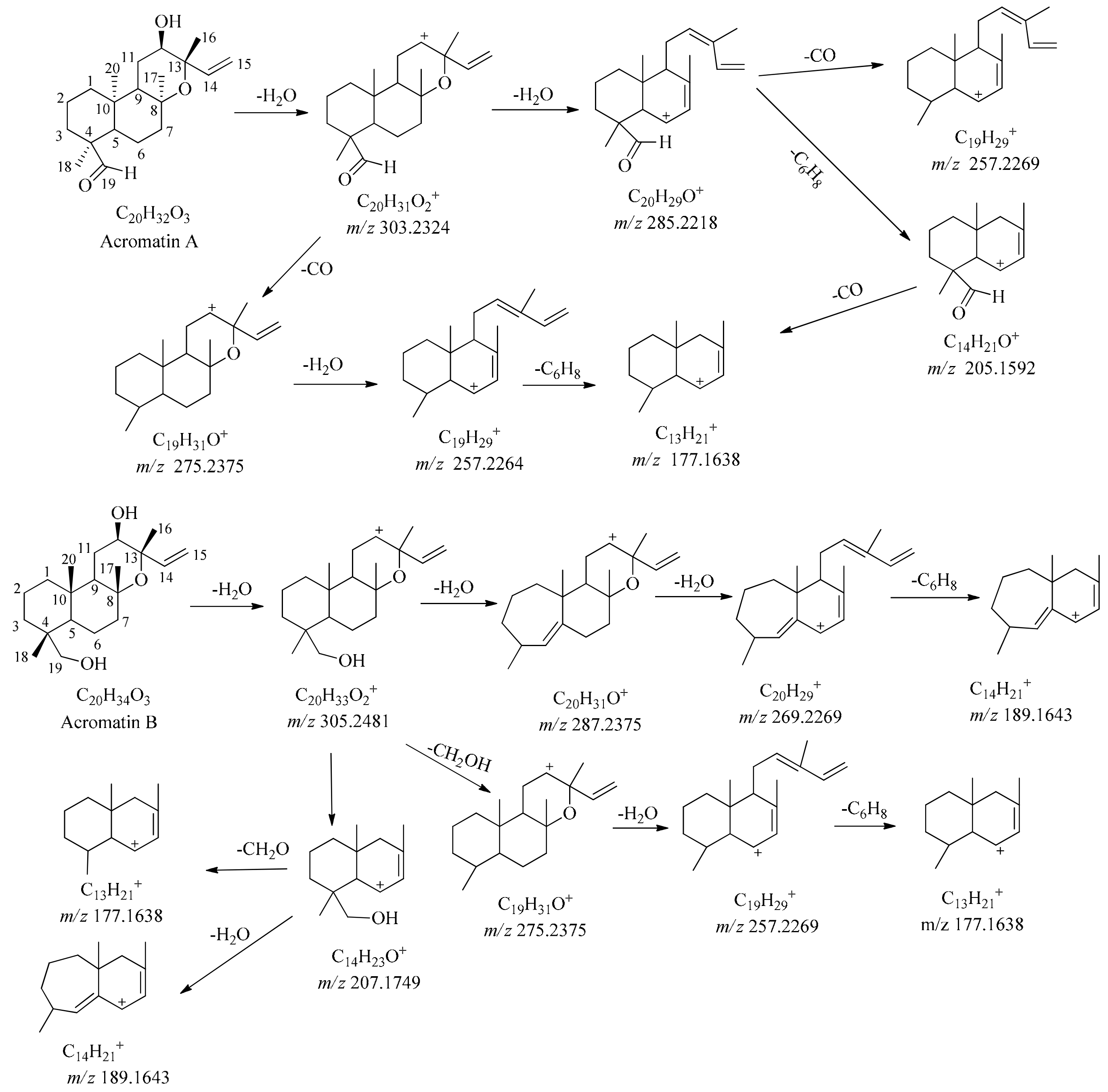 Molecules 24 03073 g006 Molecules 24 03073 g006