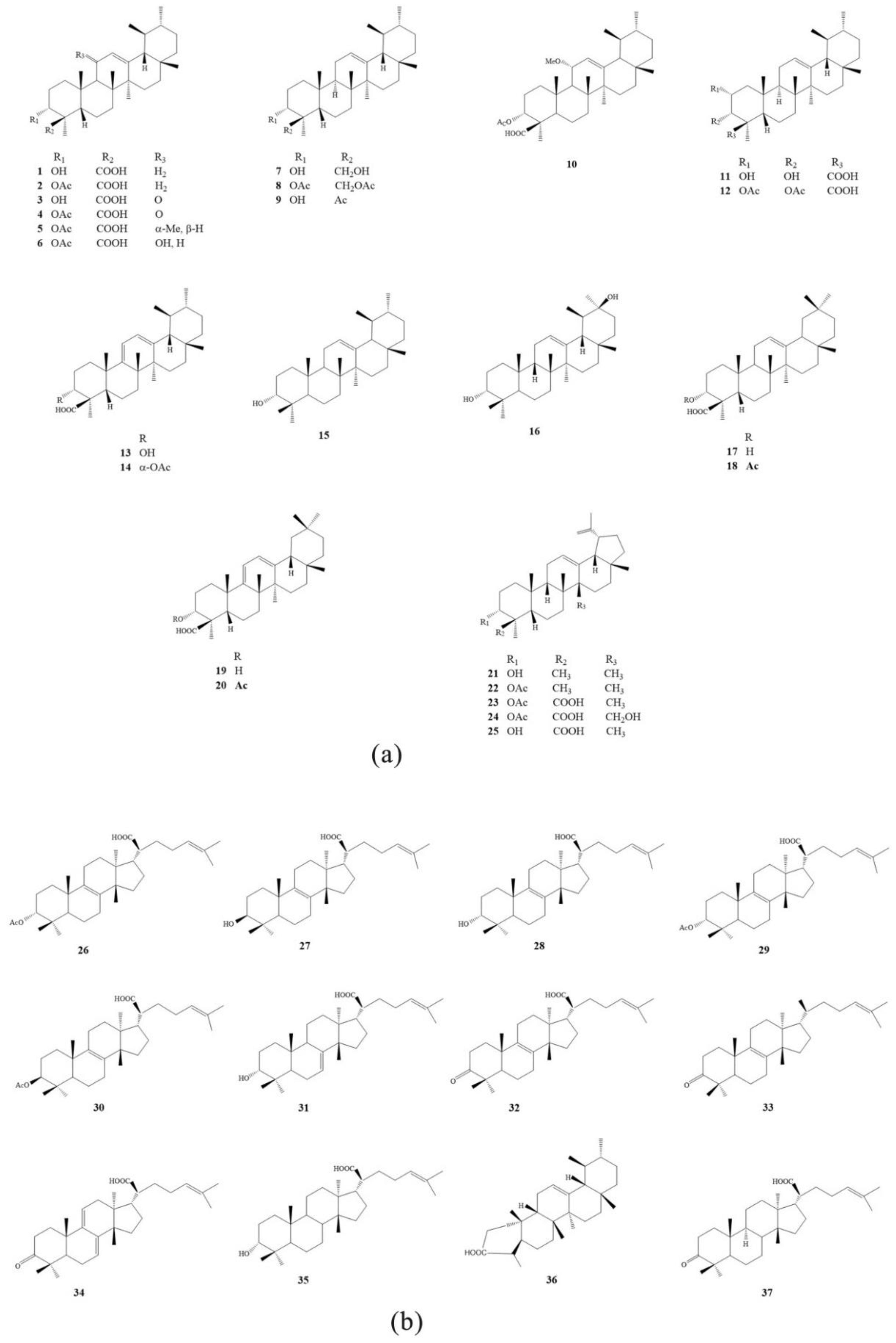 Molecules 24 03076 g001a