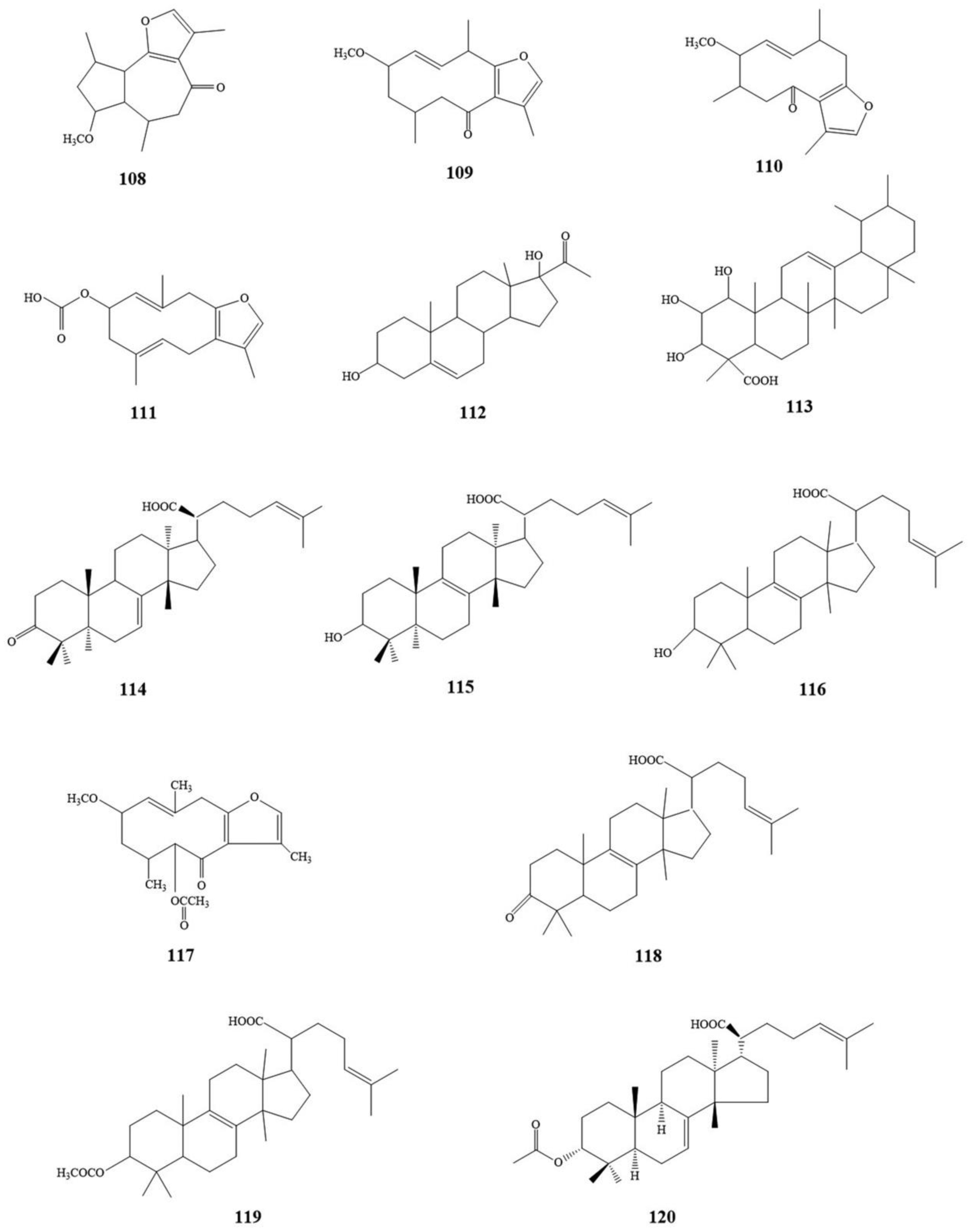 Molecules 24 03076 g004