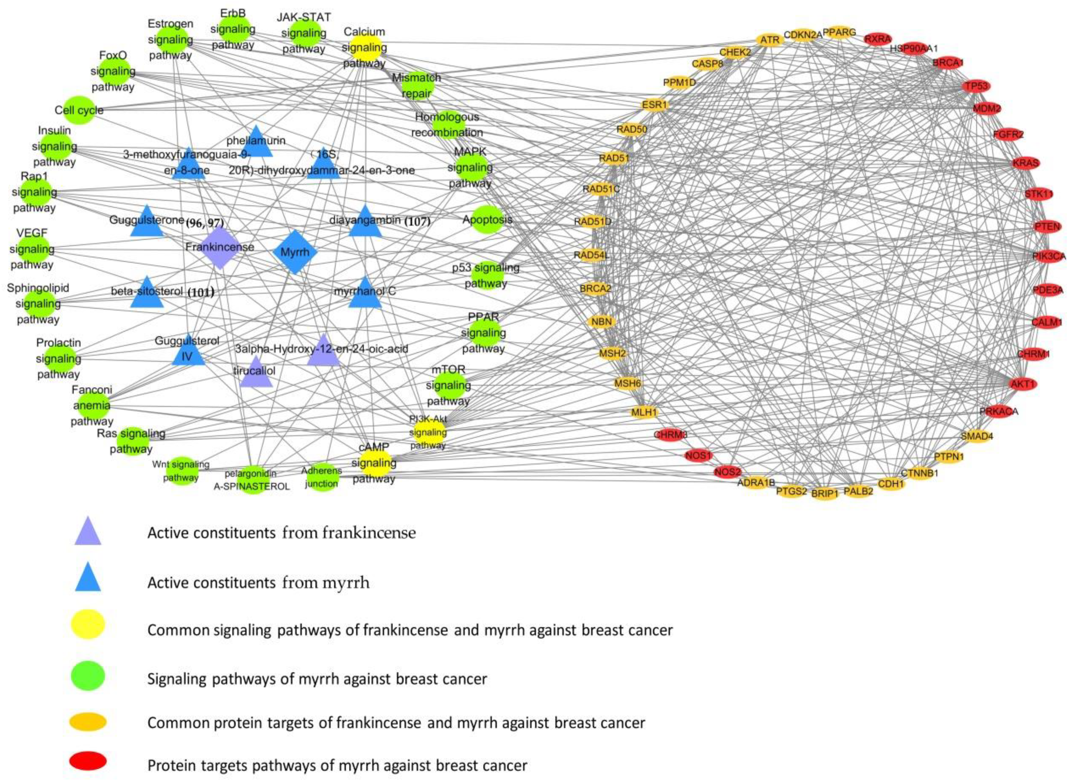Molecules 24 03076 g007