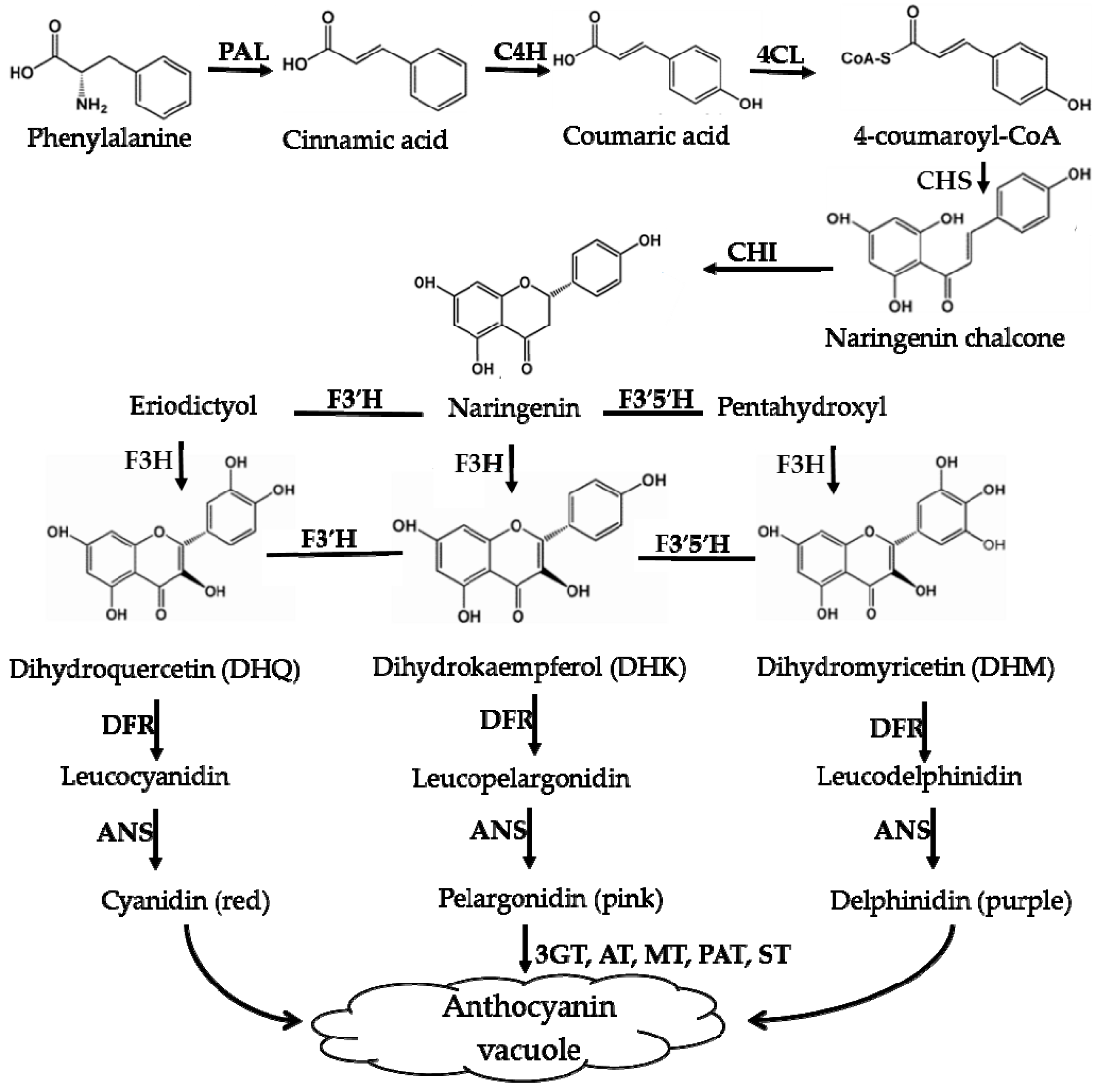 Molecules 24 03078 g005 Molecules 24 03078 g005