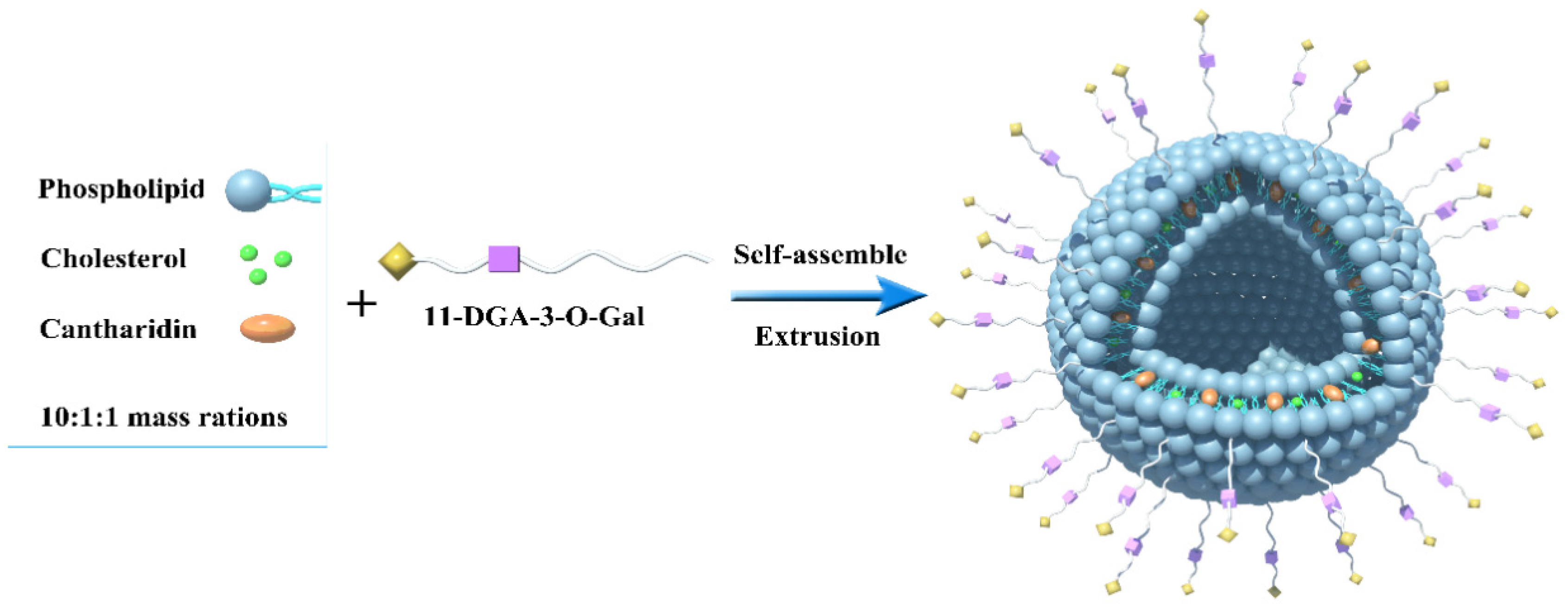 Molecules 24 03080 g002