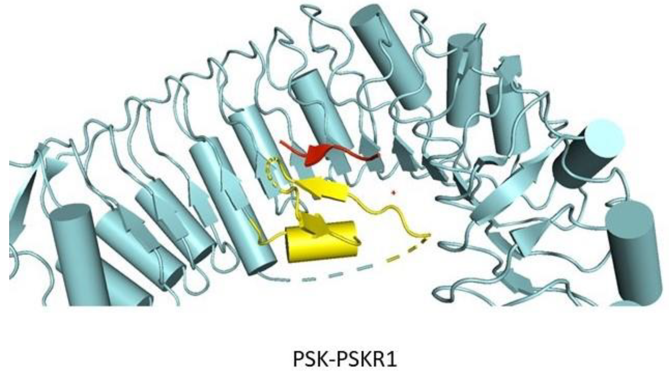 Molecules 24 03081 g005