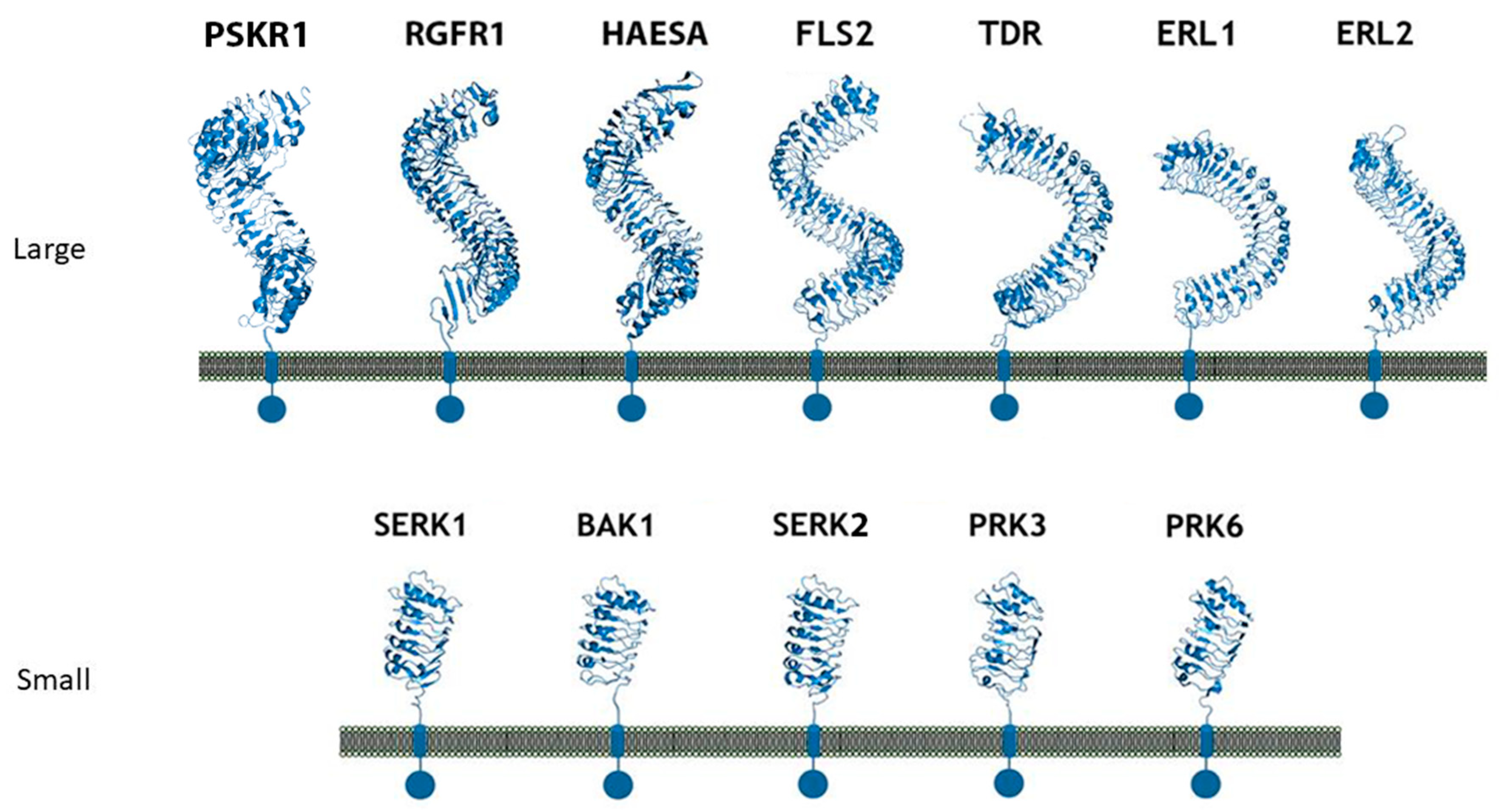Molecules 24 03081 g006