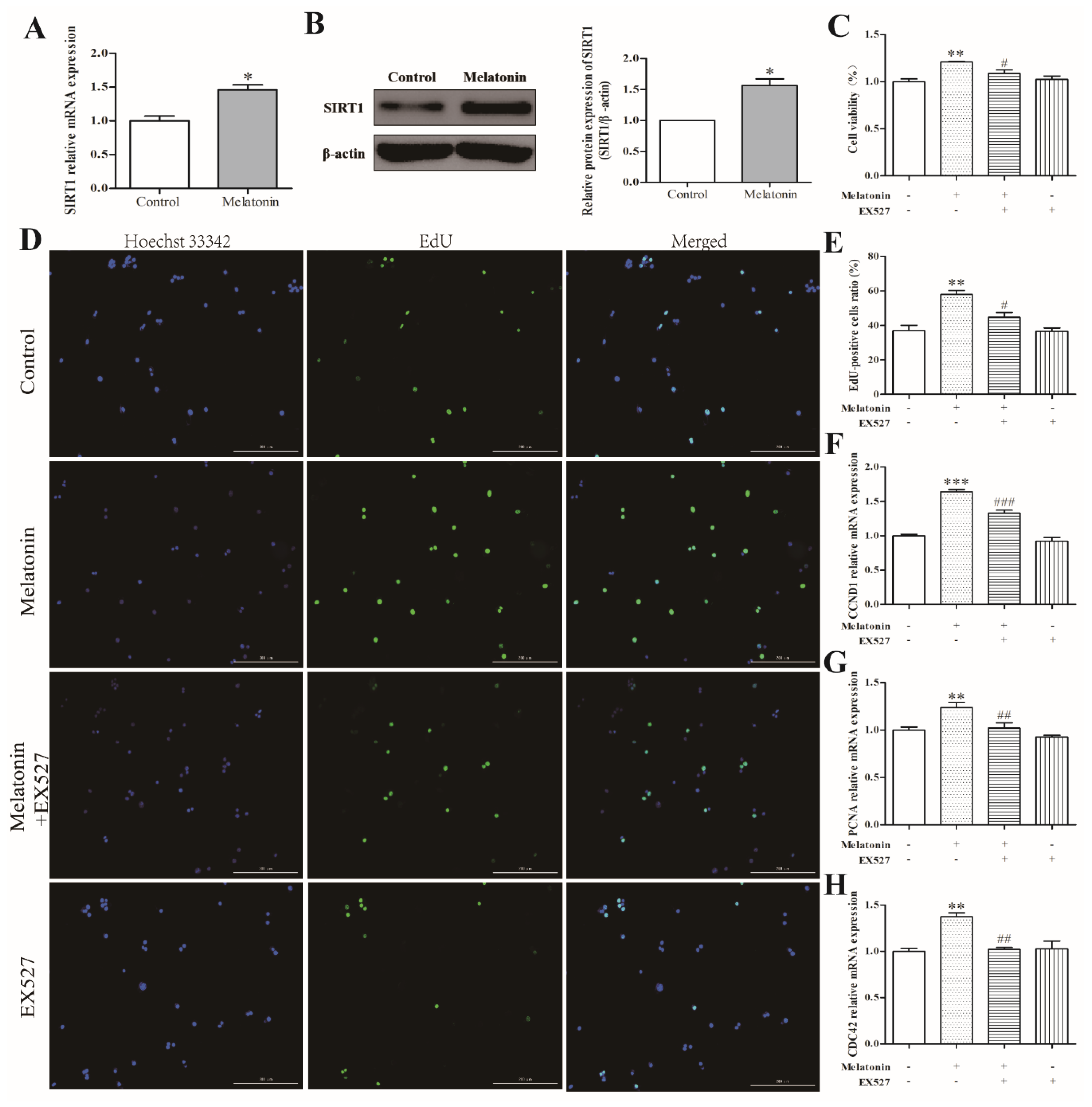 Molecules 24 03084 g004