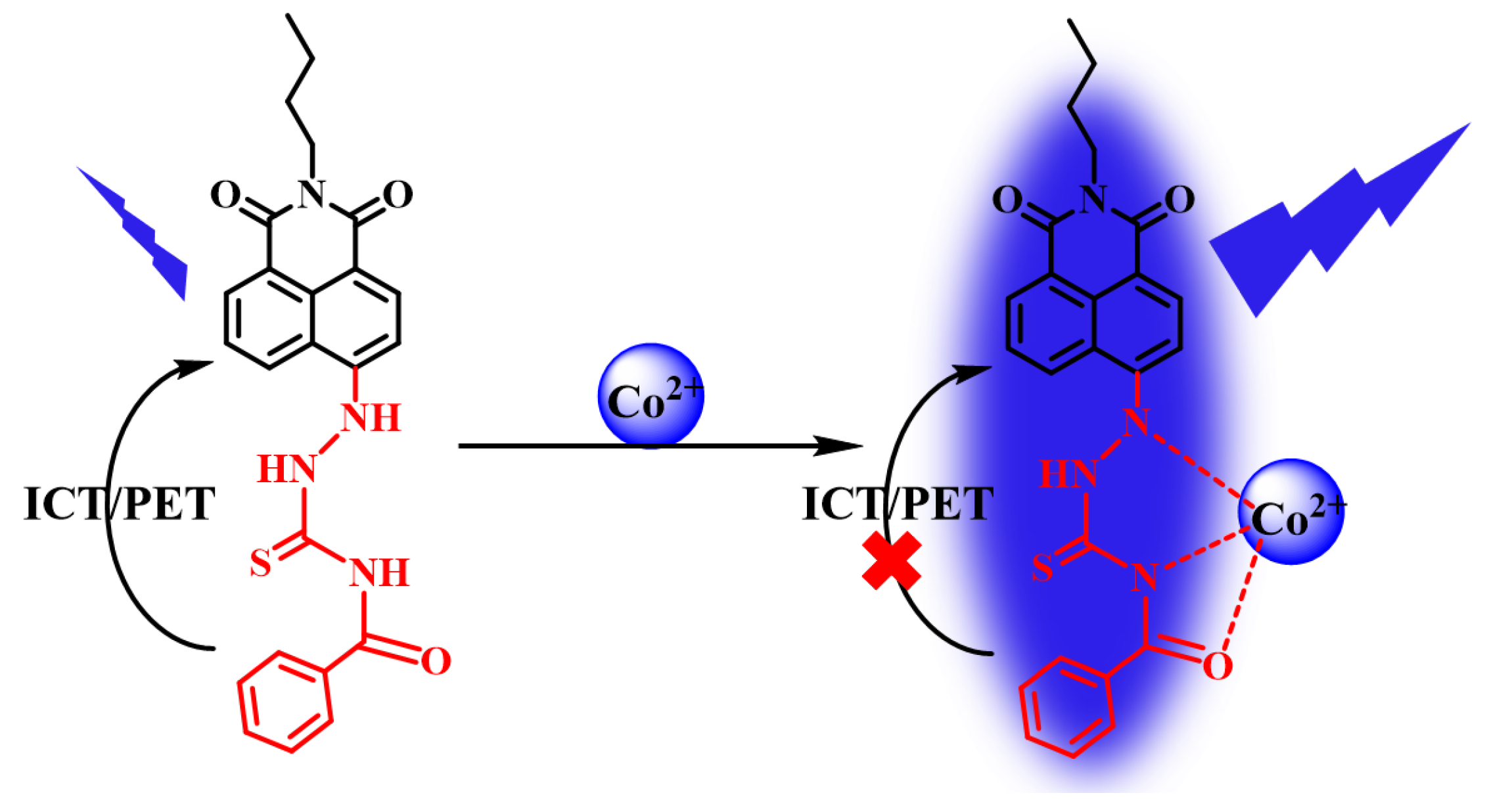 Molecules 24 03093 sch002 Molecules 24 03093 sch002