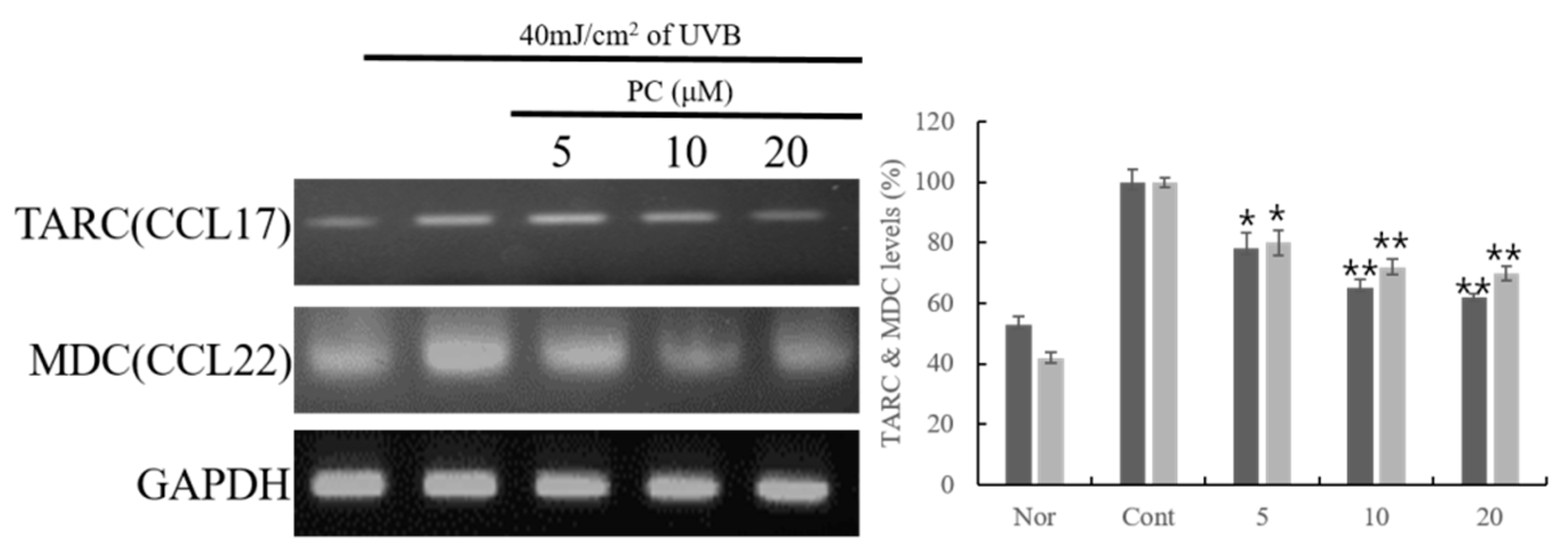 Molecules 24 03094 g001