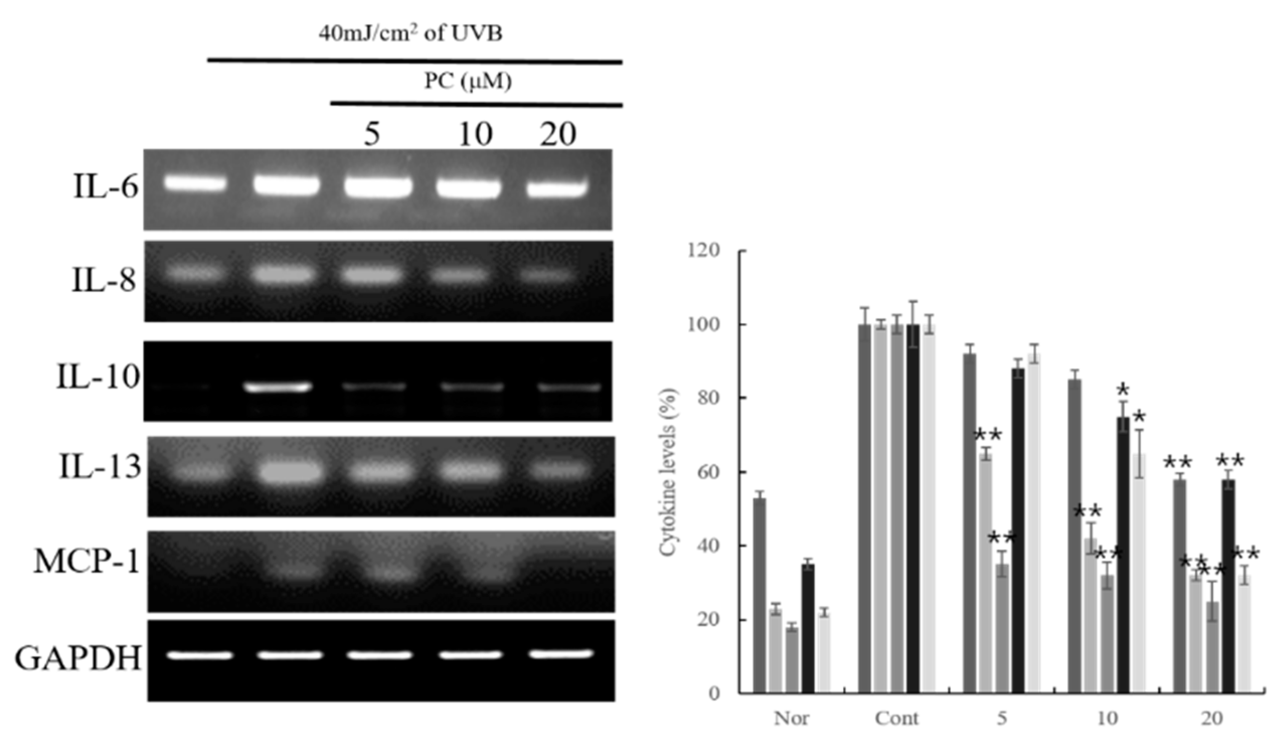 Molecules 24 03094 g002
