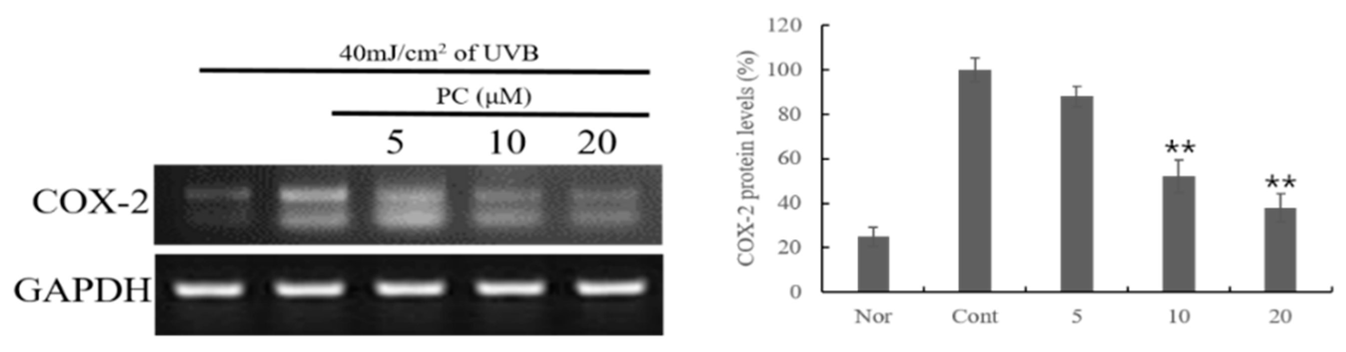 Molecules 24 03094 g003