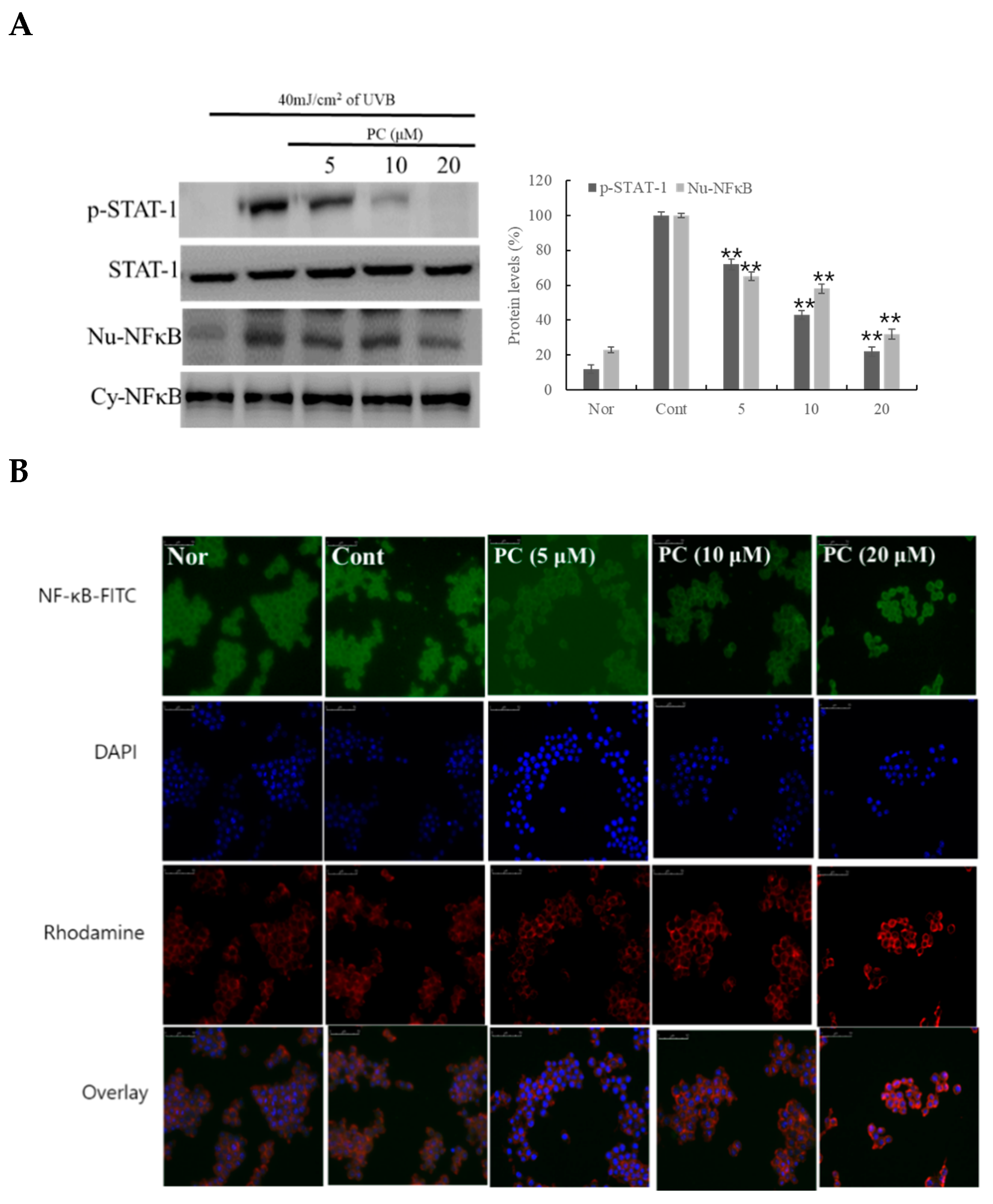 Molecules 24 03094 g005