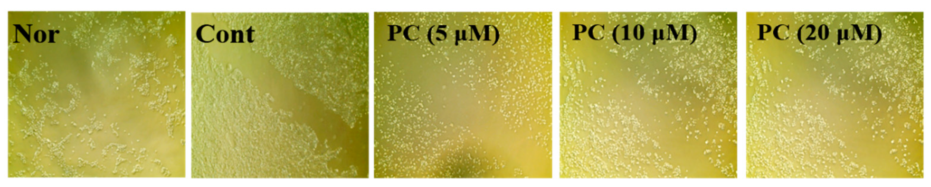 Molecules 24 03094 g006