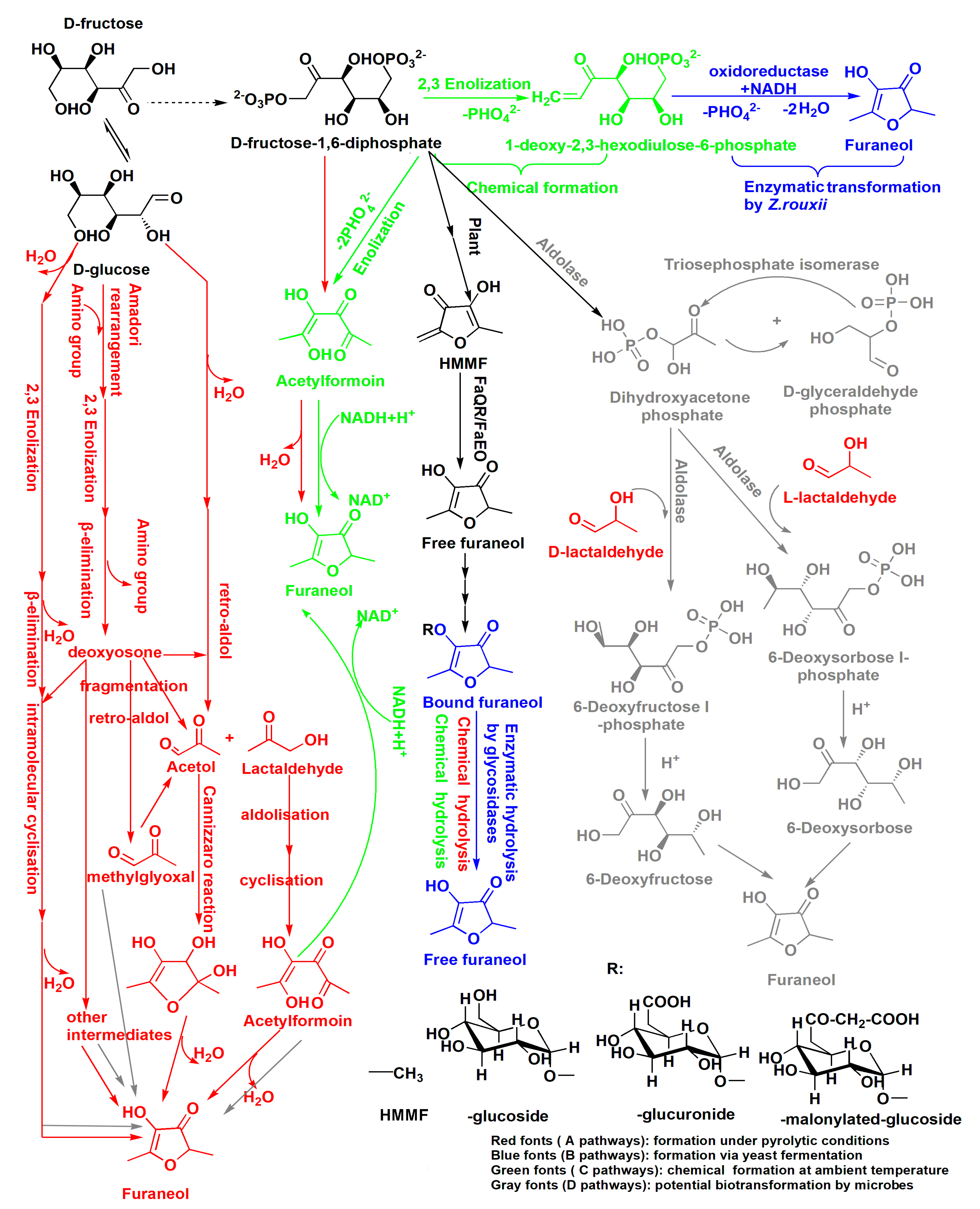 Molecules 24 03104 g003