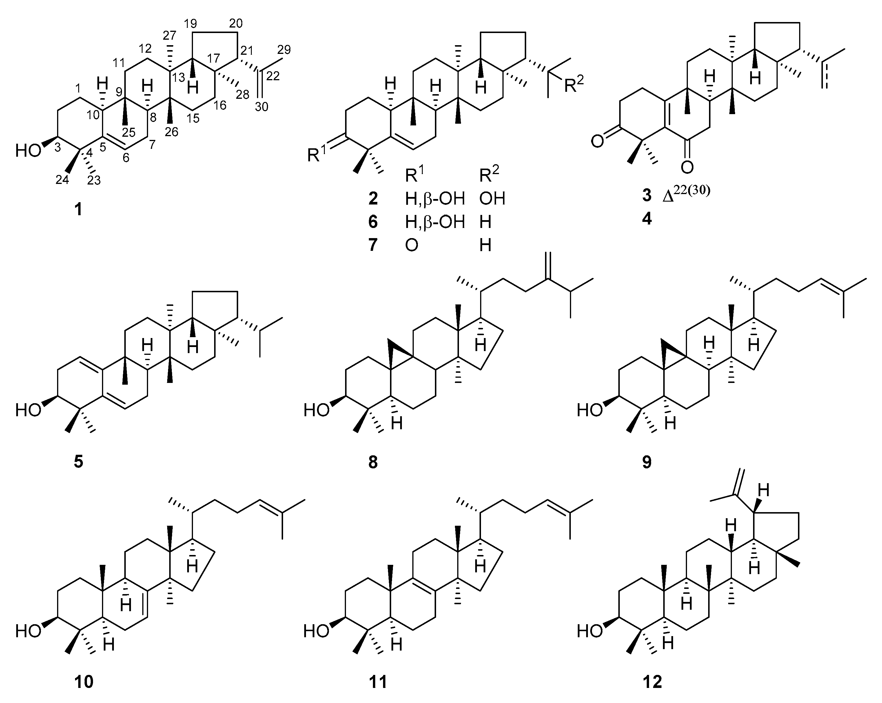 Molecules 24 03106 g001