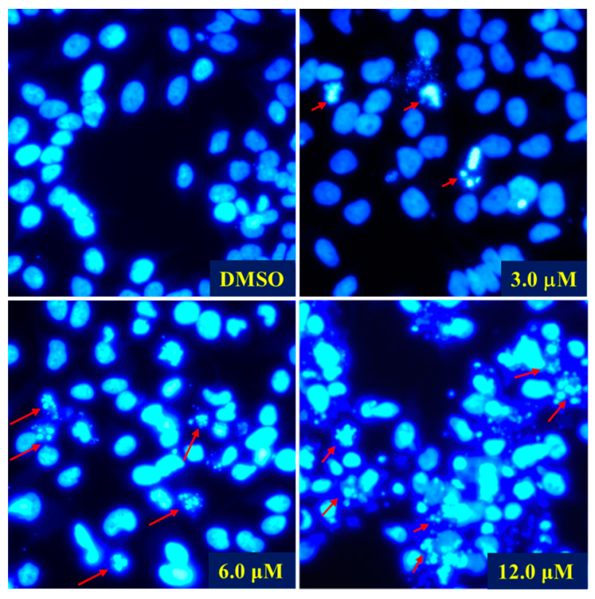 Molecules 24 03106 g006