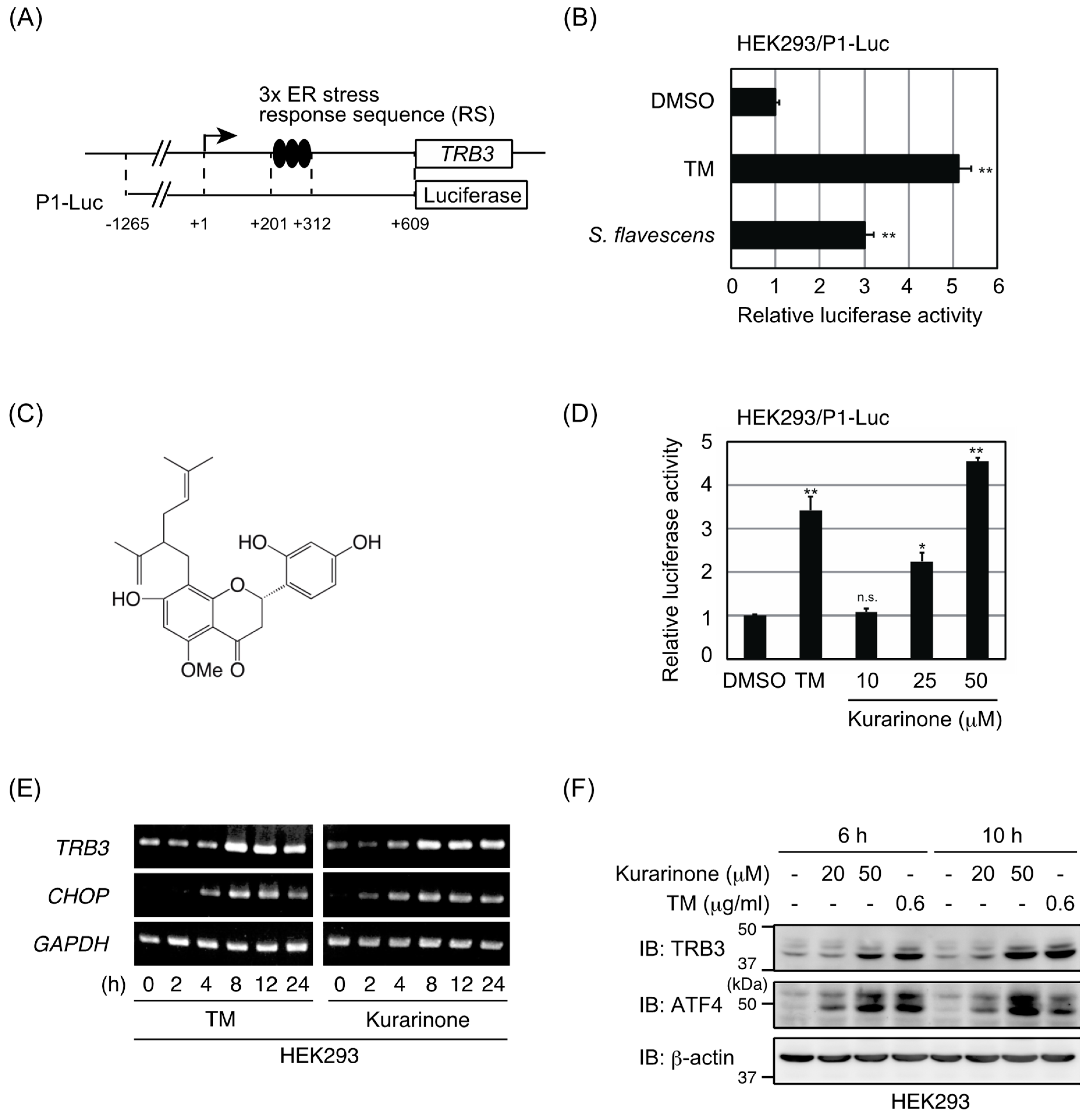 Molecules 24 03110 g001