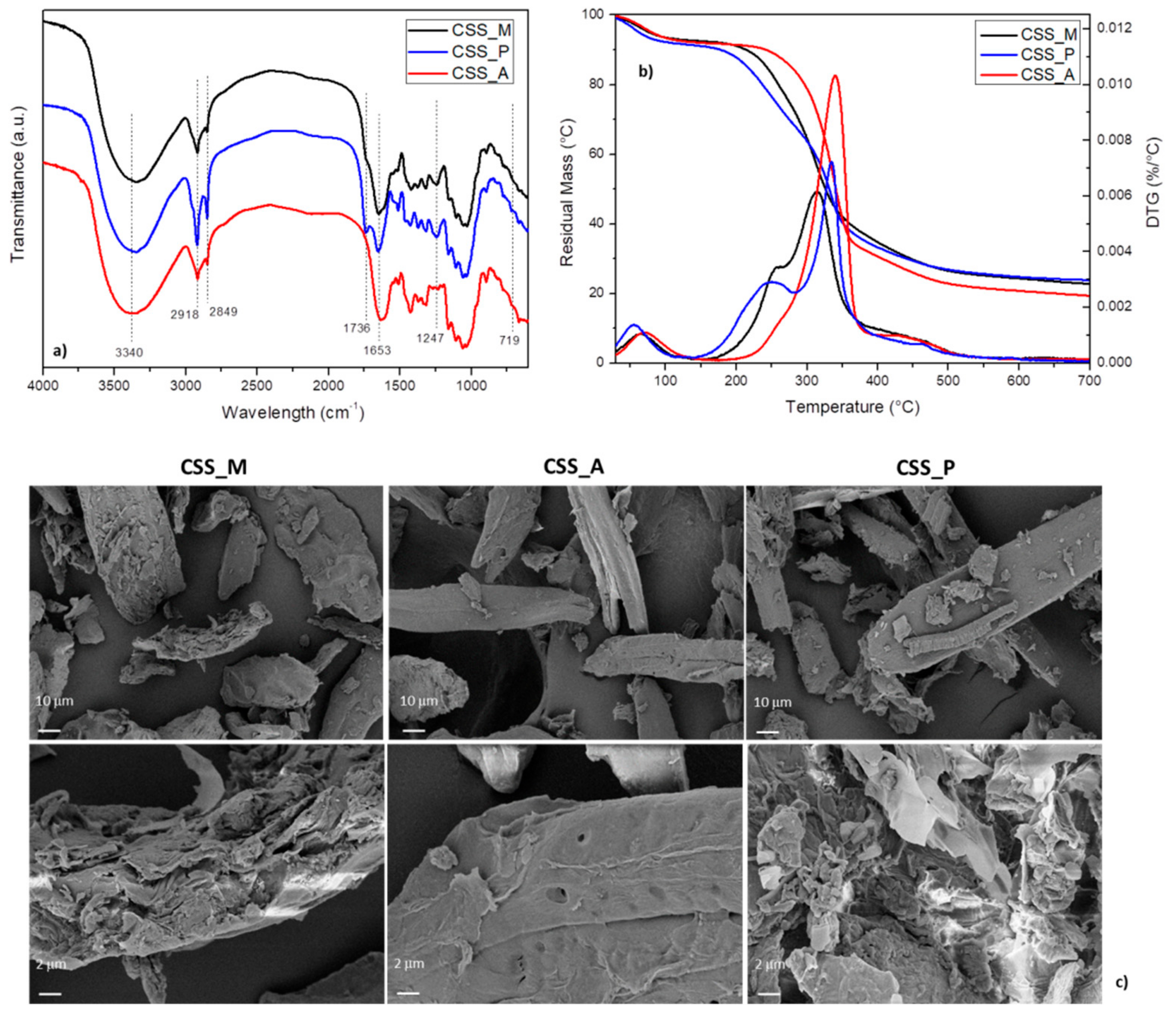 Molecules 24 03113 g001