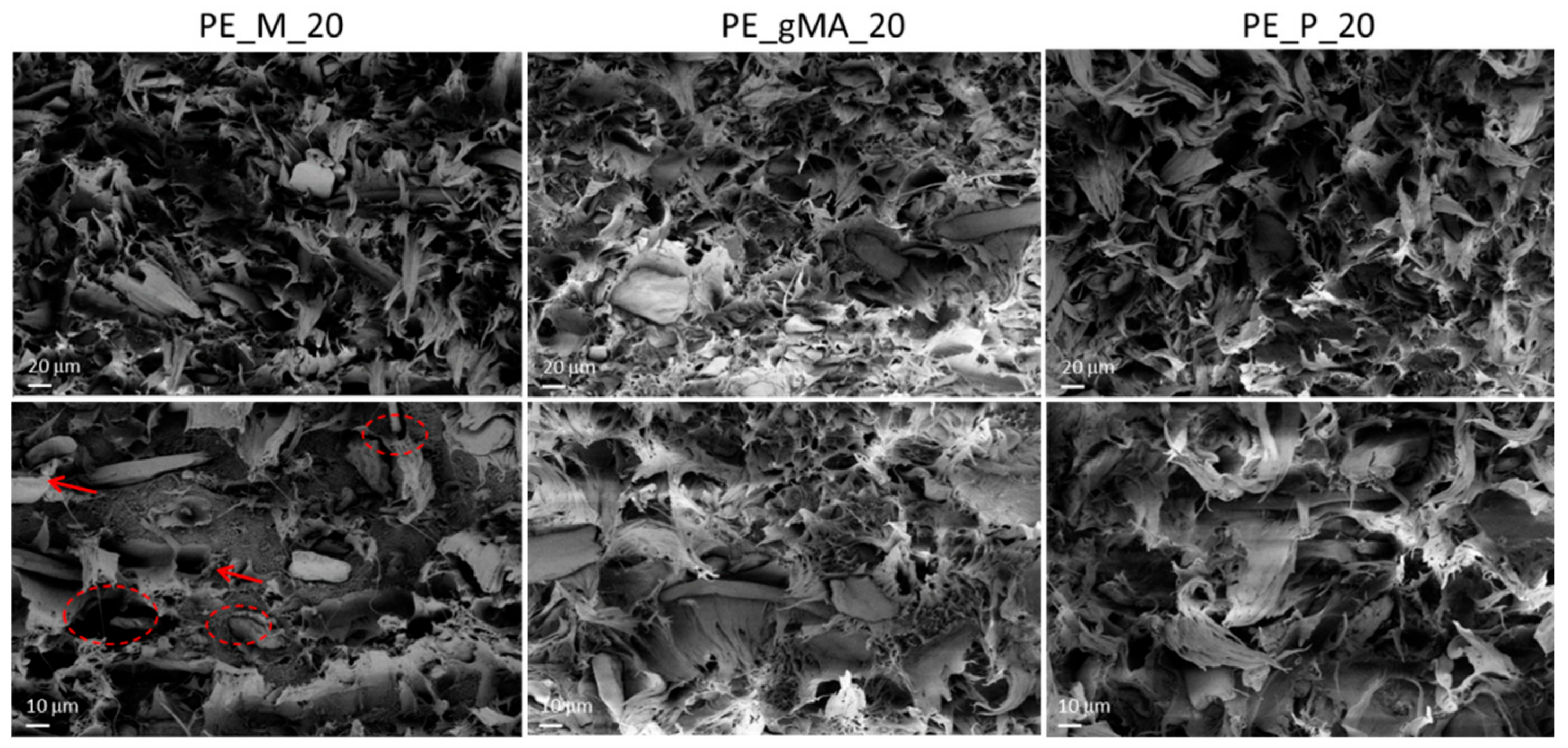 Molecules 24 03113 g003