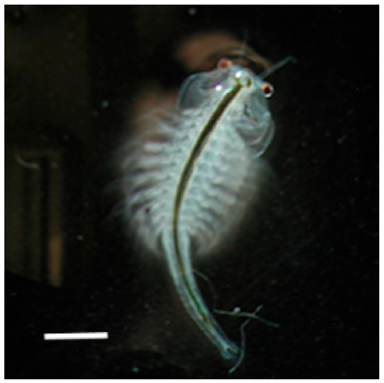 Molecules 24 03114 g003