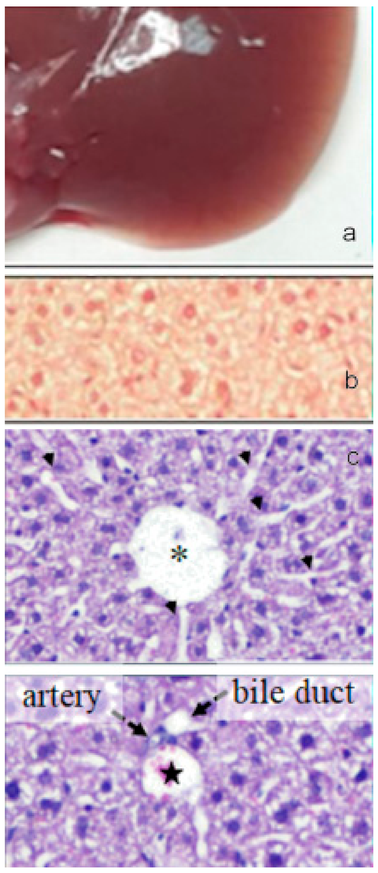 Molecules 24 03114 g012