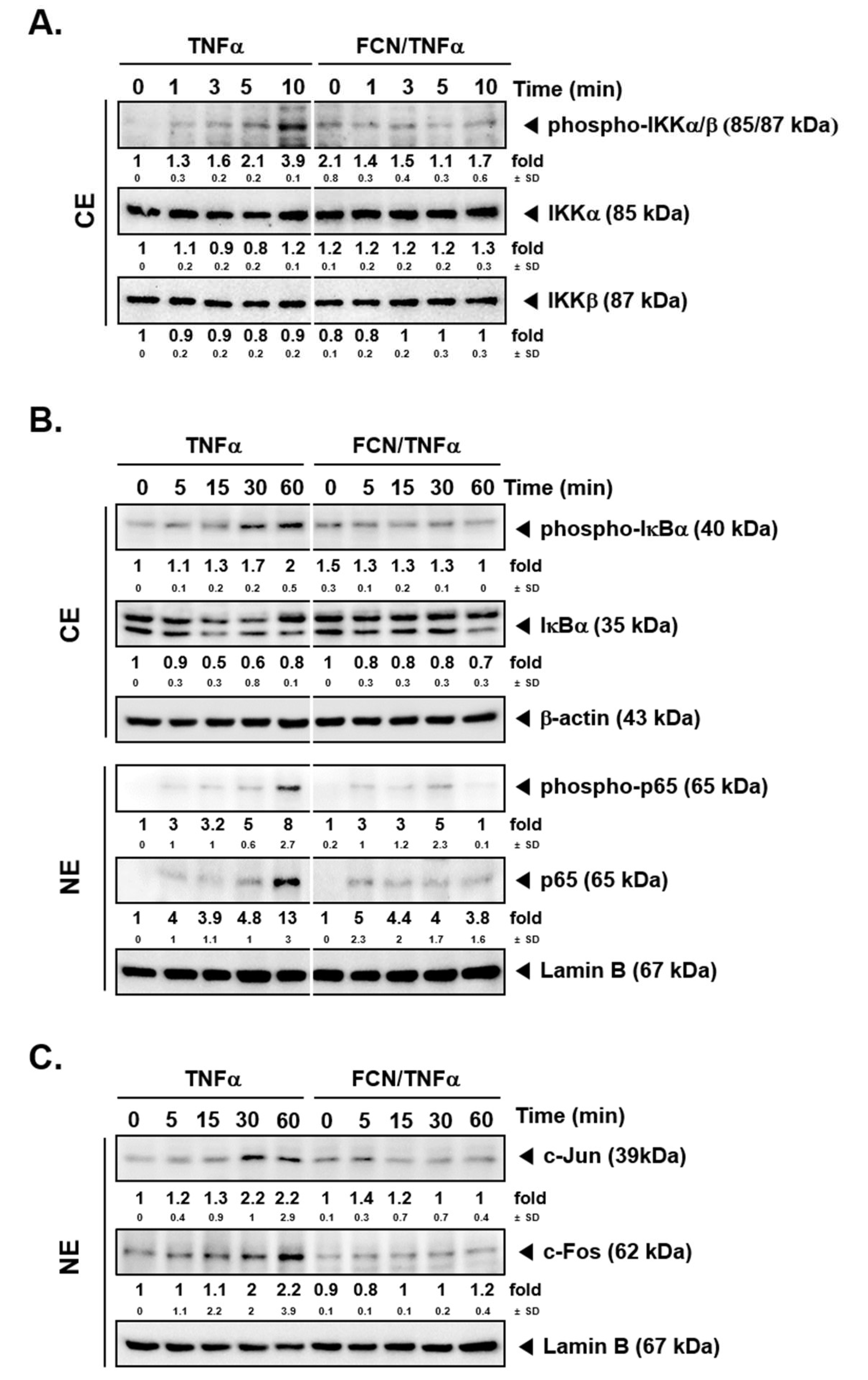Molecules 24 03127 g002