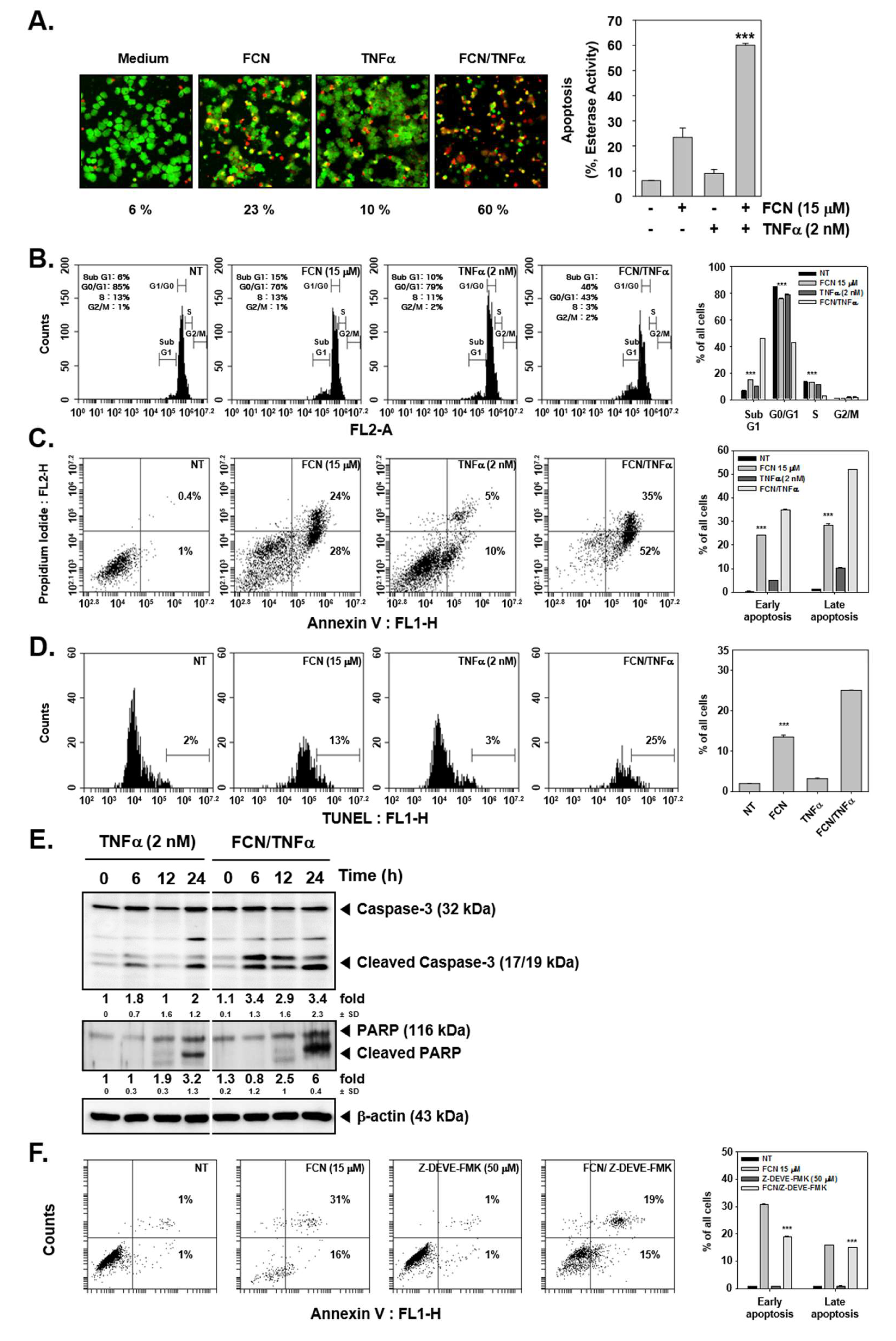 Molecules 24 03127 g004