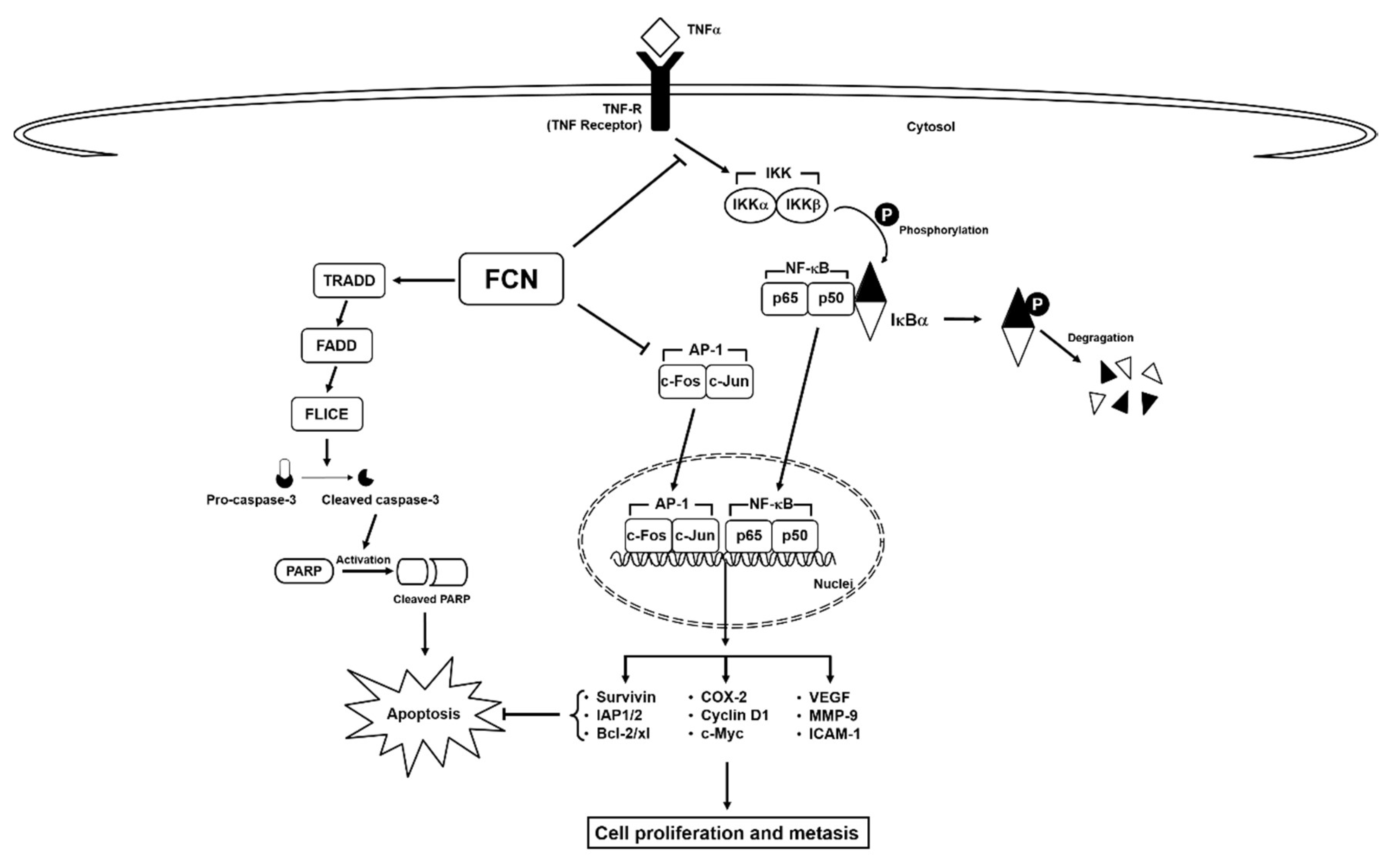Molecules 24 03127 g006