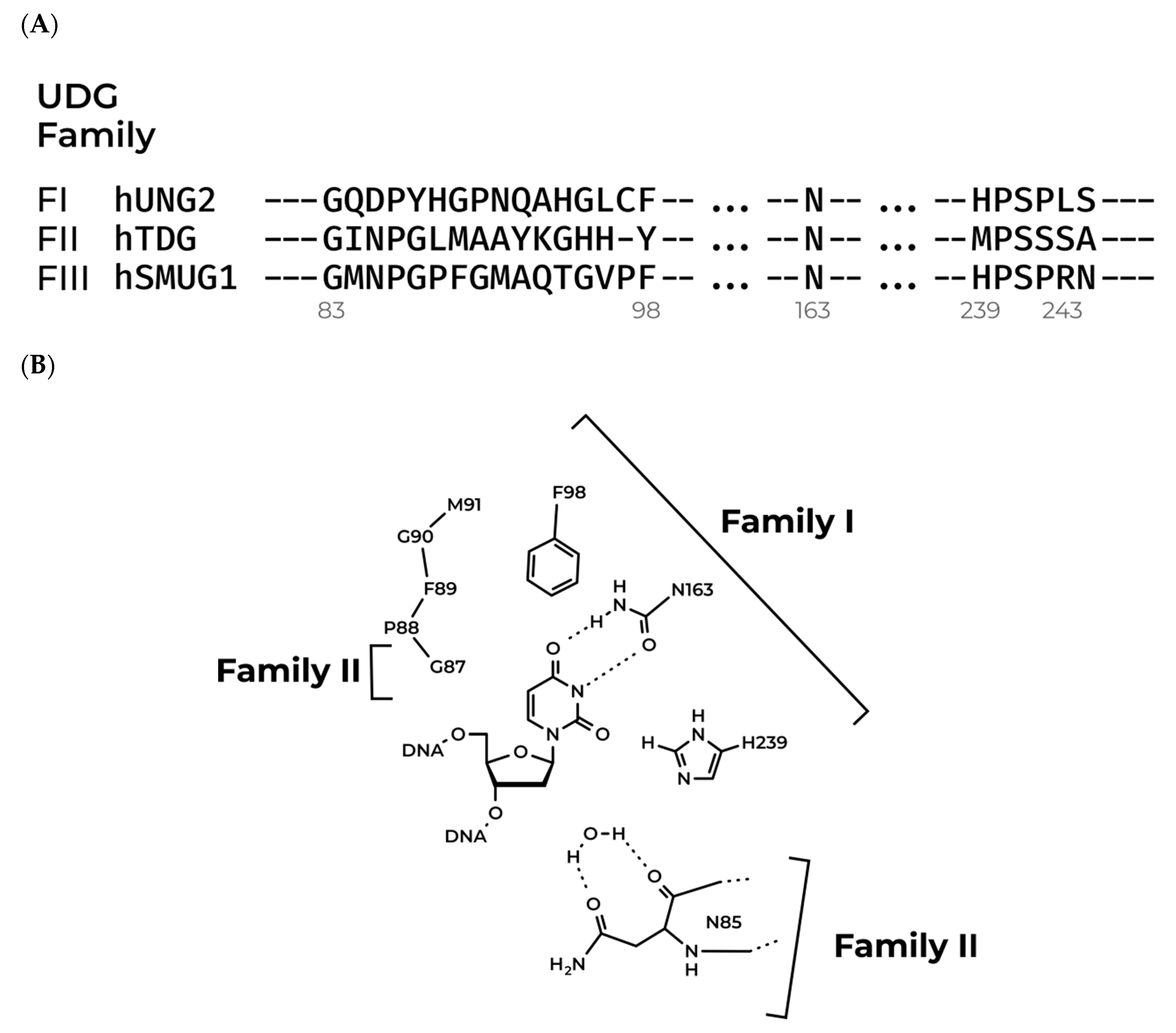 Molecules 24 03133 g001