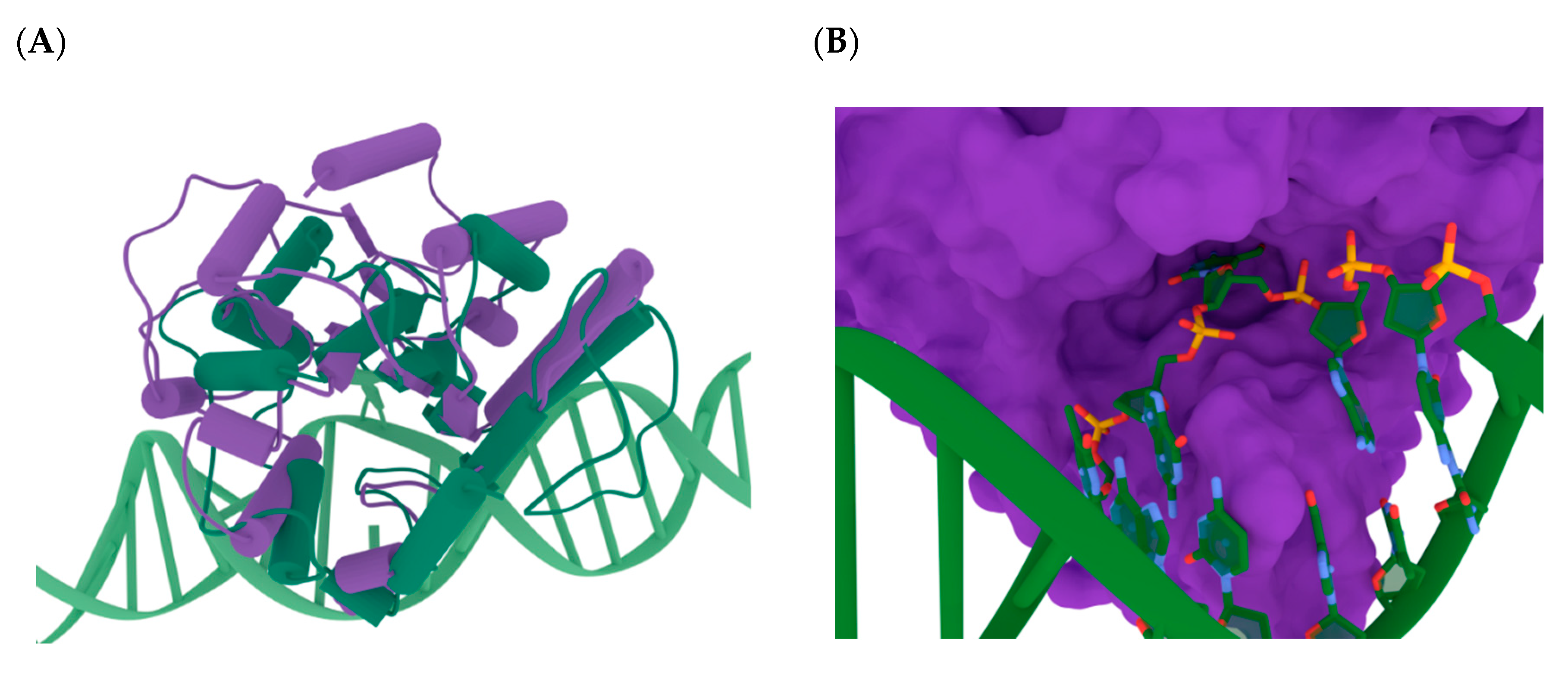 Molecules 24 03133 g002