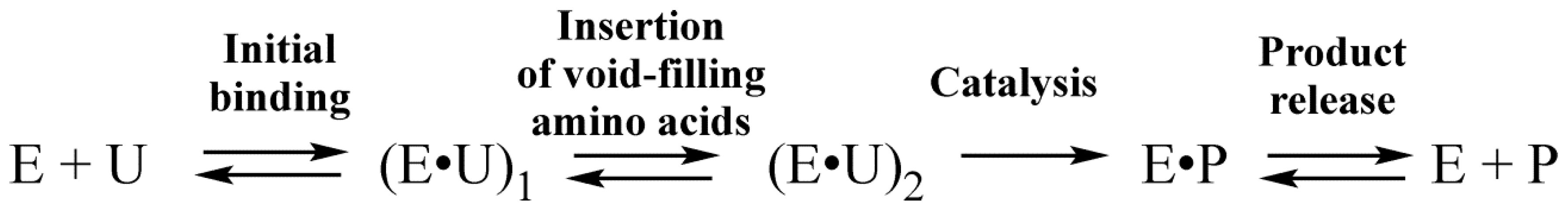 Molecules 24 03133 sch001