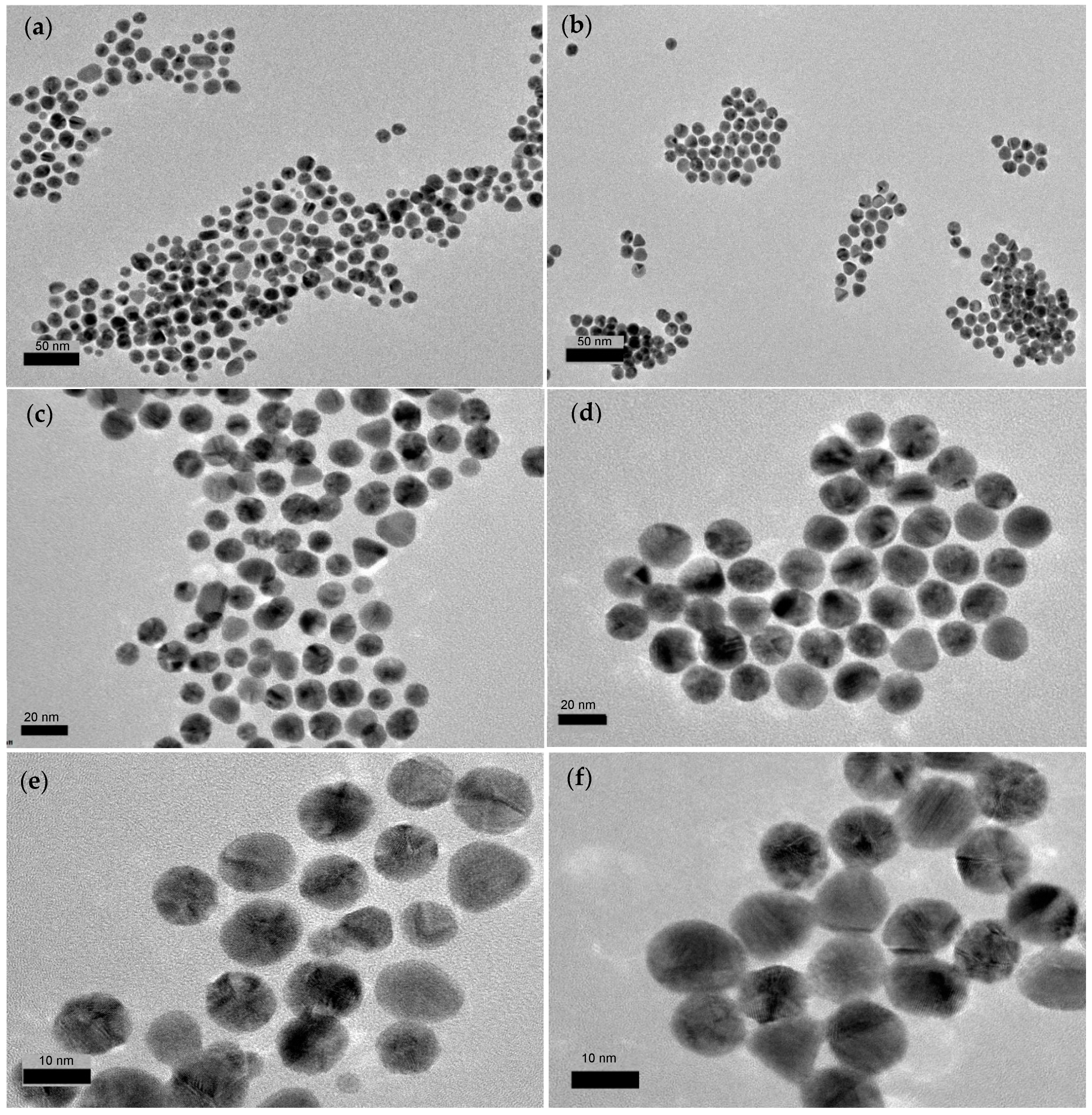 Molecules 24 03141 g003 Molecules 24 03141 g003