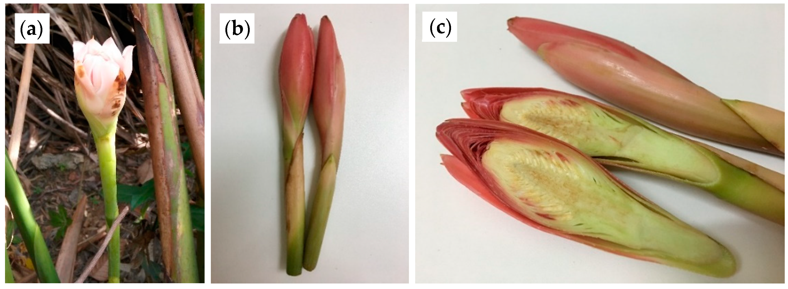Molecules 24 03141 g007 Molecules 24 03141 g007