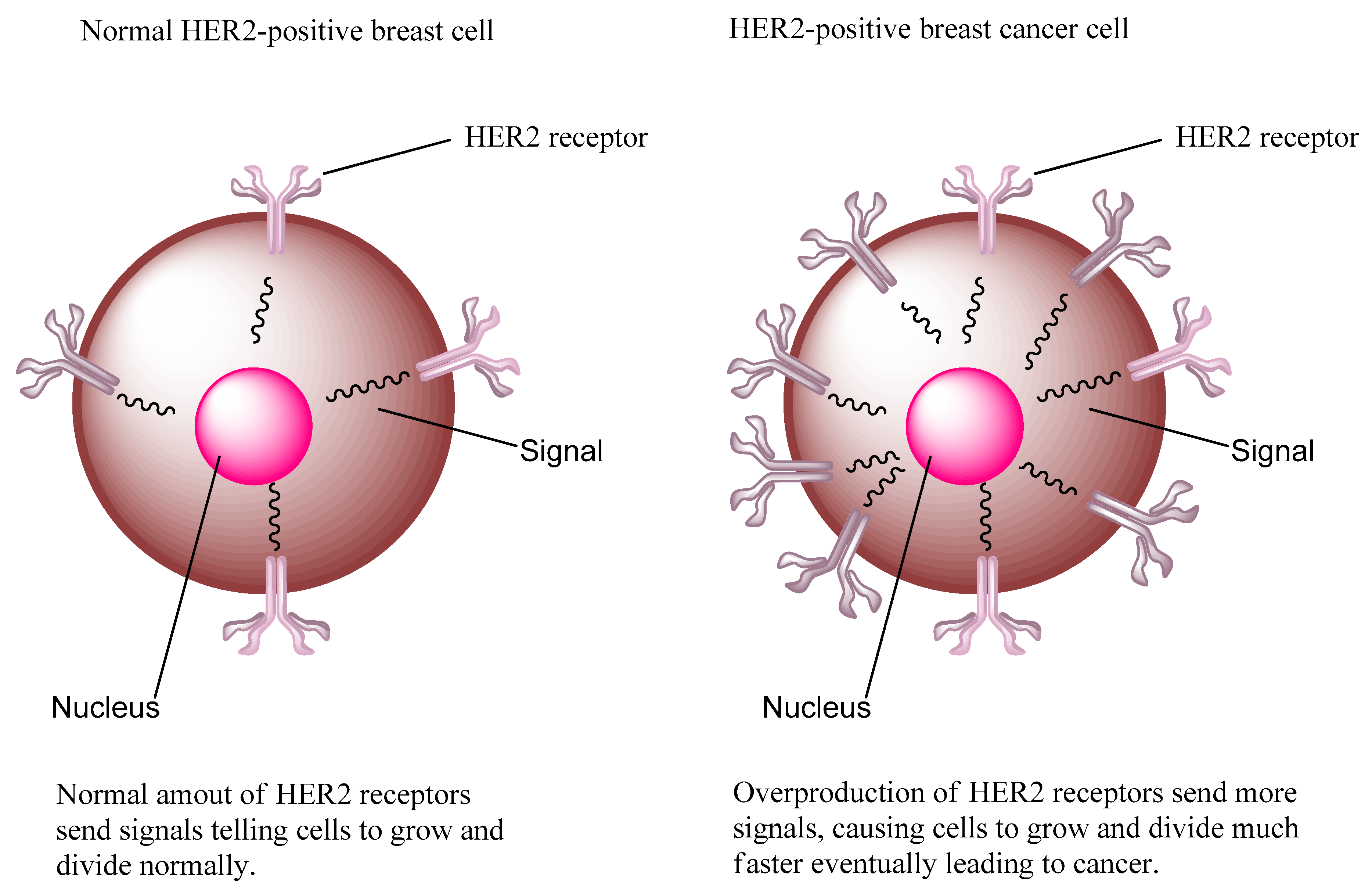 Molecules 24 03142 g001