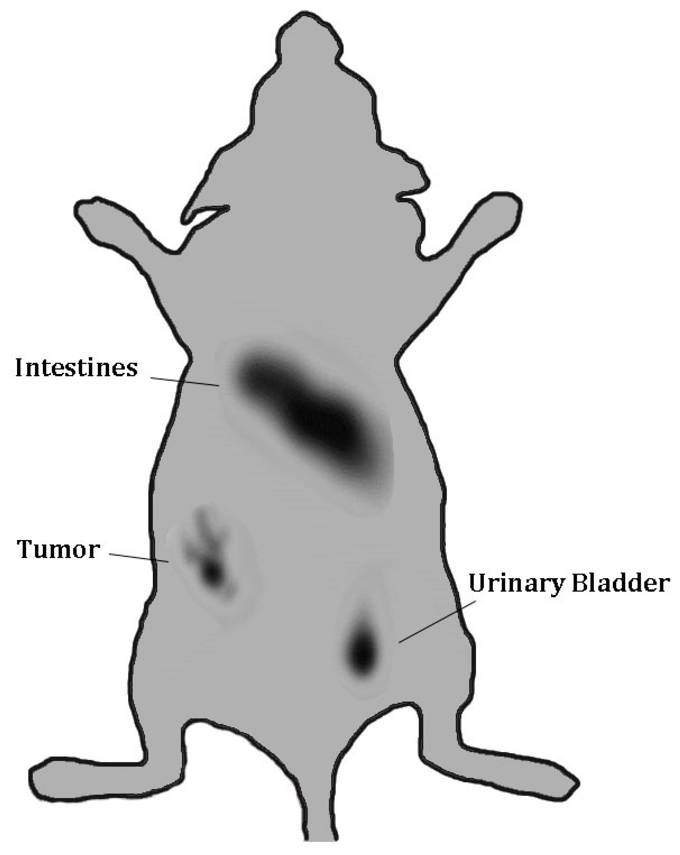 Molecules 24 03142 g015