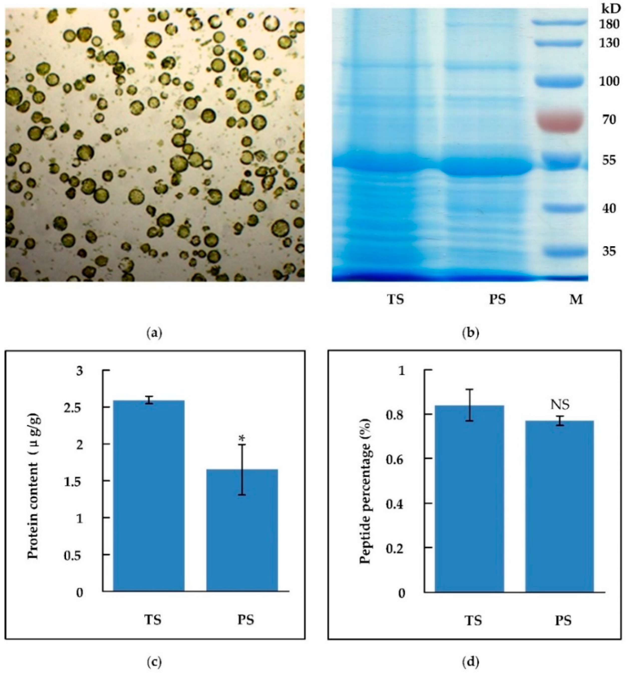 Molecules 24 03146 g003 Molecules 24 03146 g003