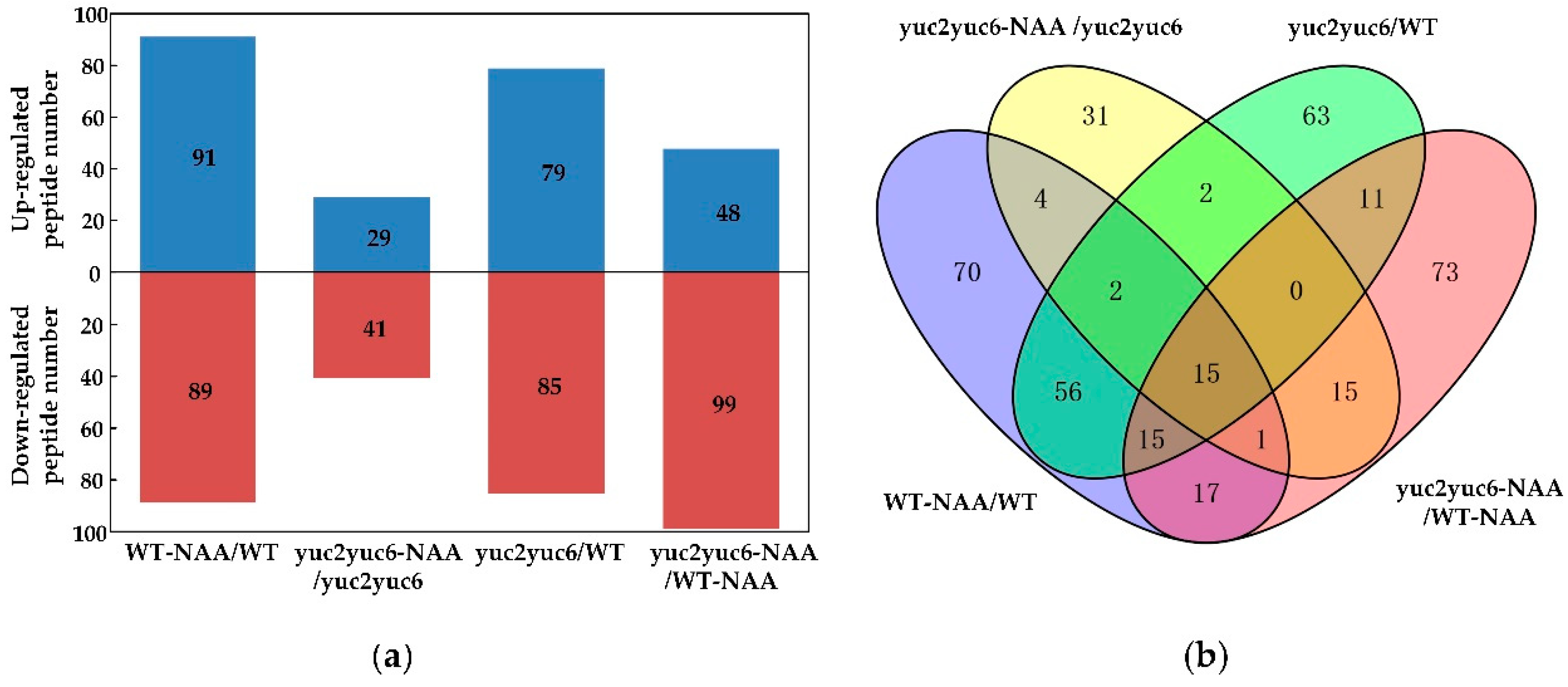 Molecules 24 03146 g005 Molecules 24 03146 g005