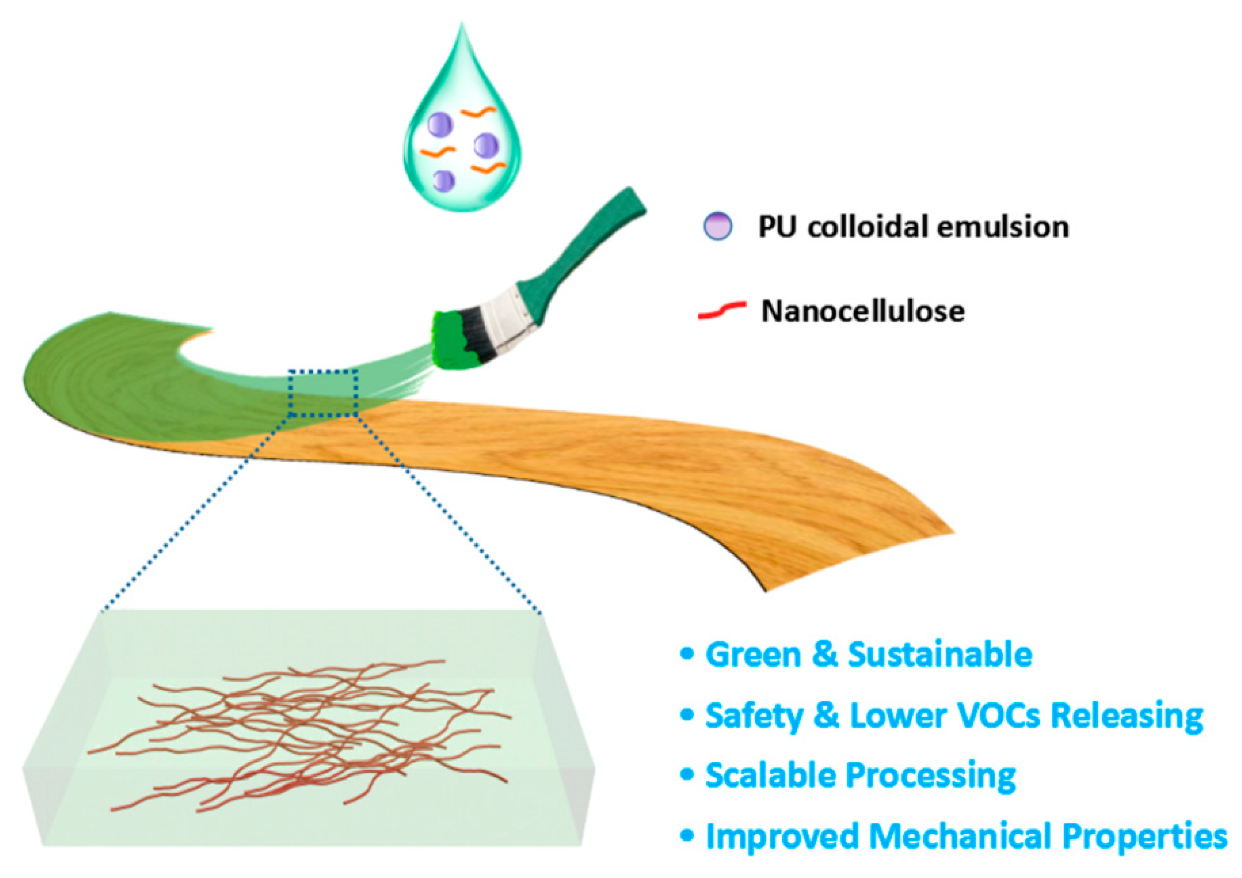 Molecules 24 03151 g001