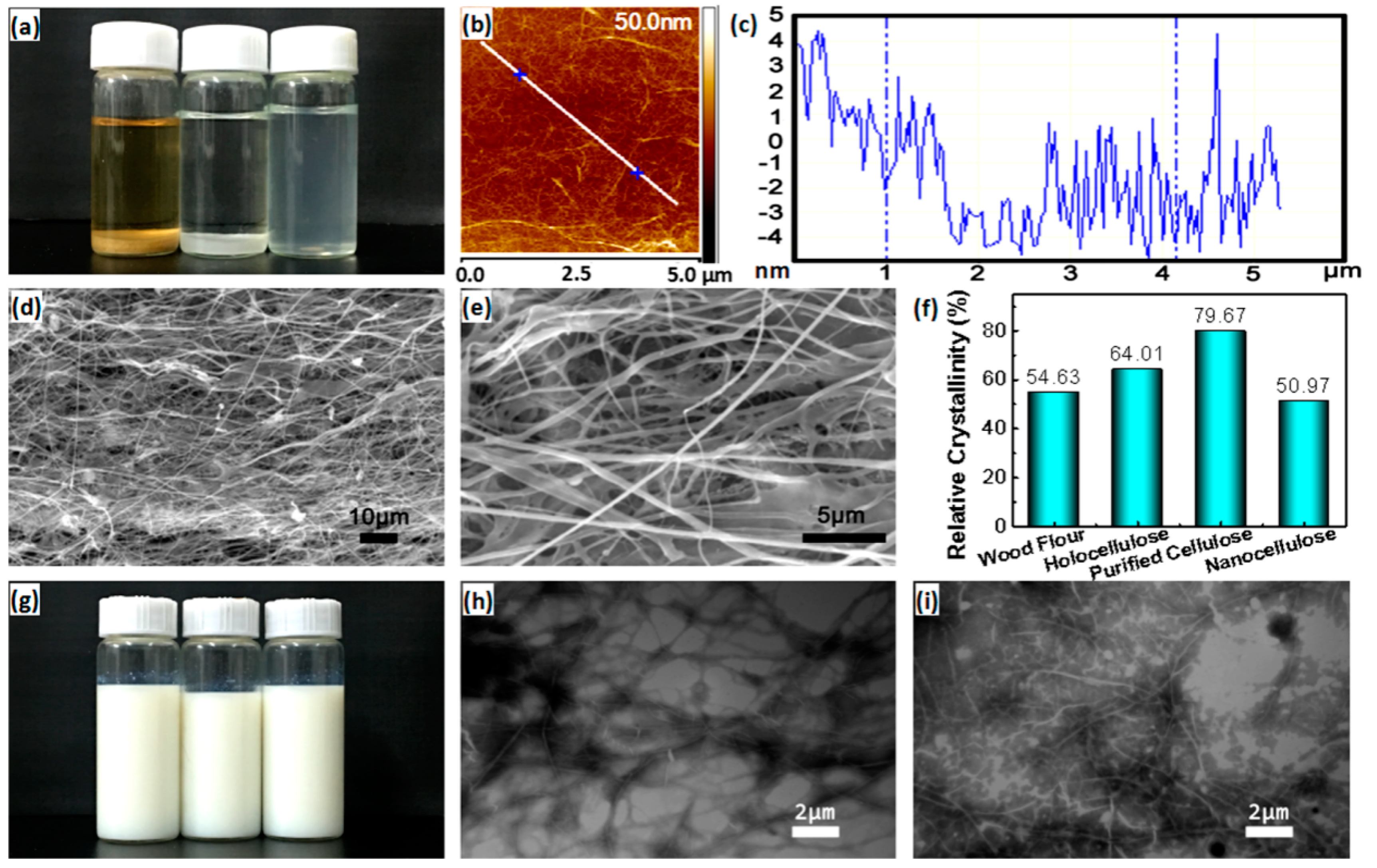 Molecules 24 03151 g002