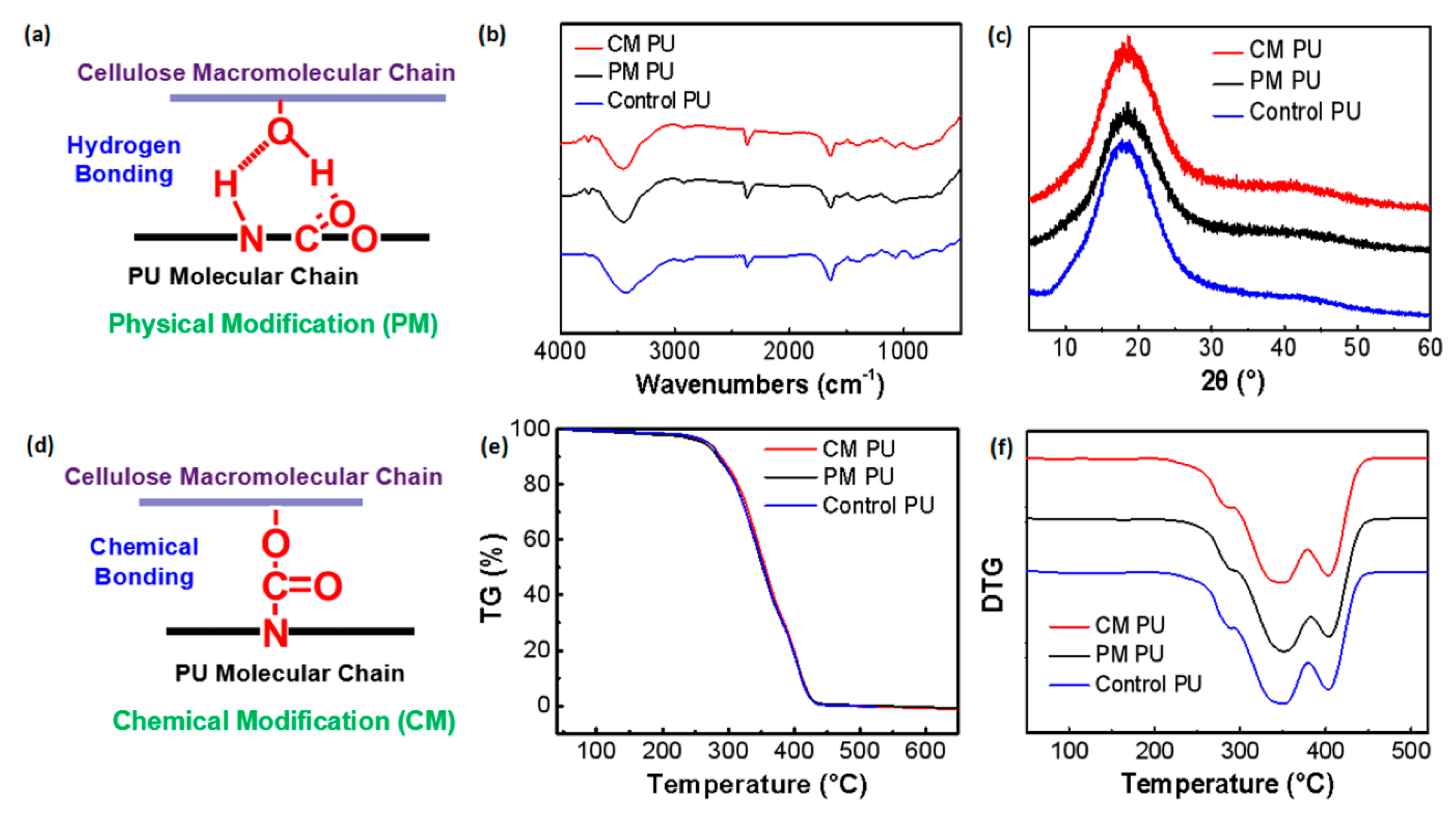 Molecules 24 03151 g006