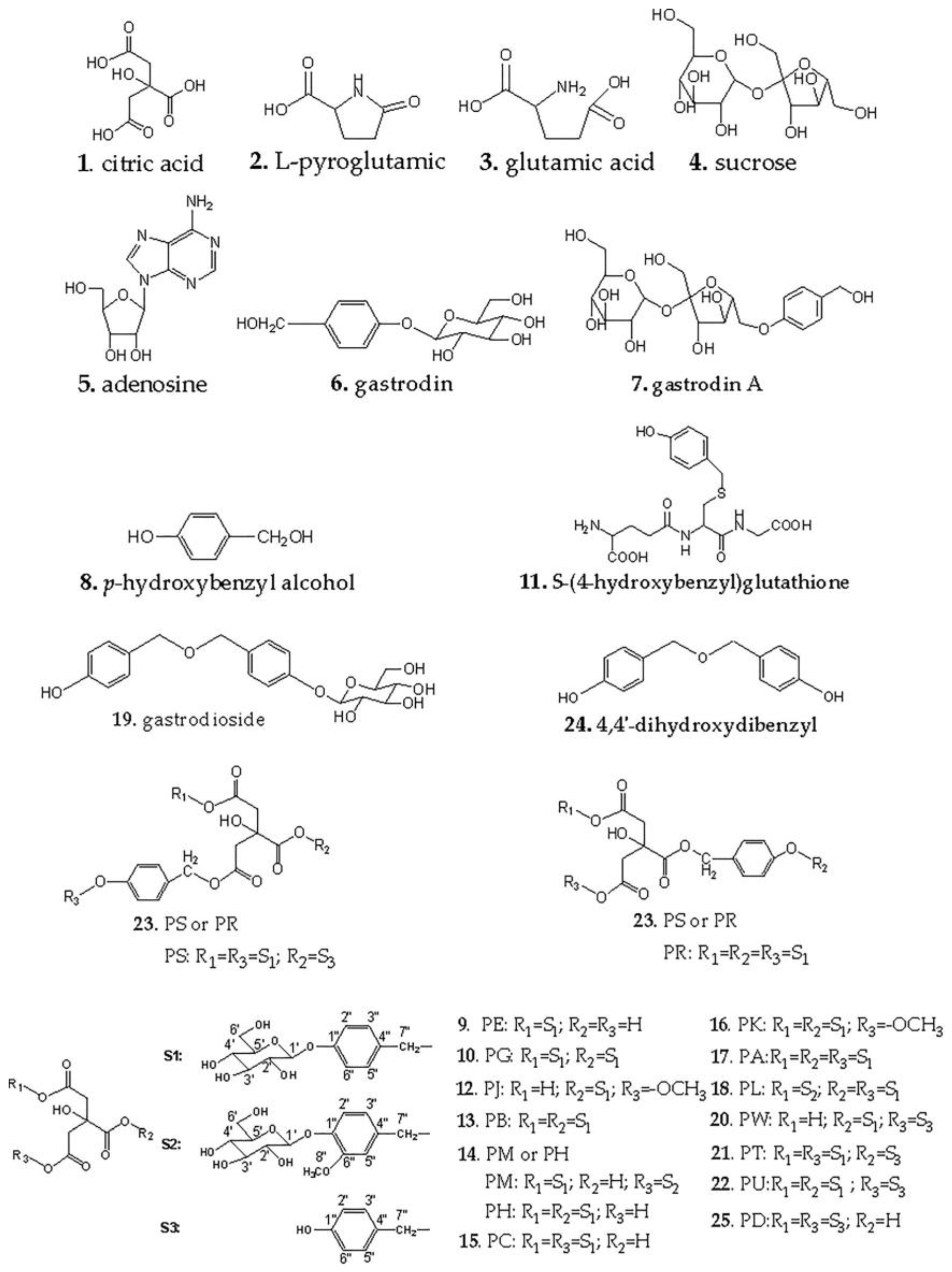 Molecules 24 03159 g002