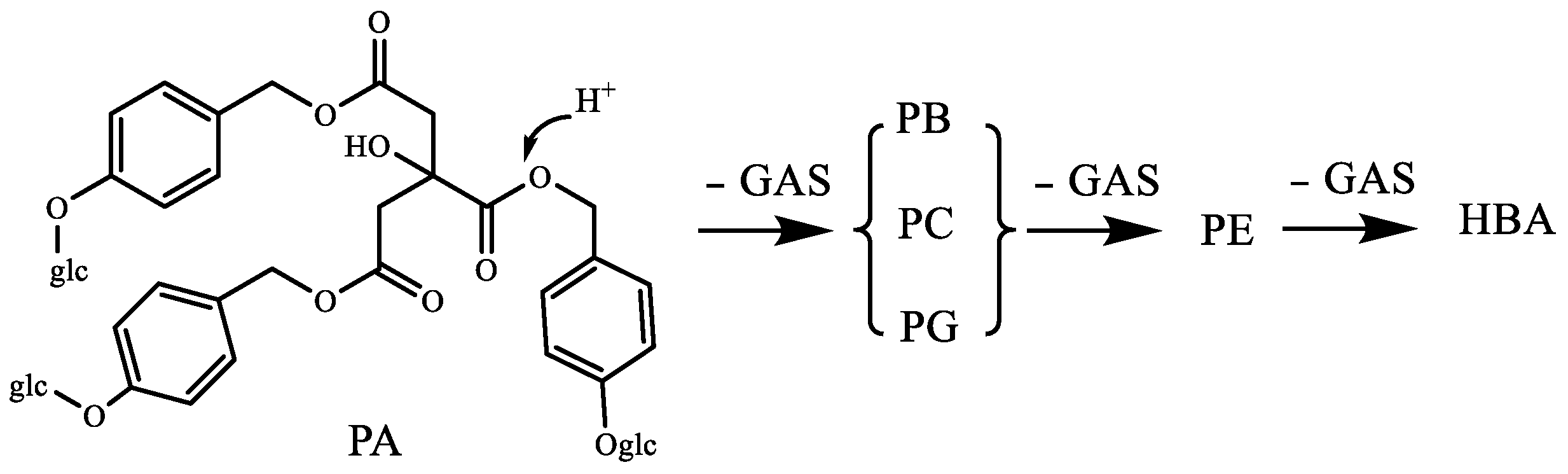 Molecules 24 03159 g005