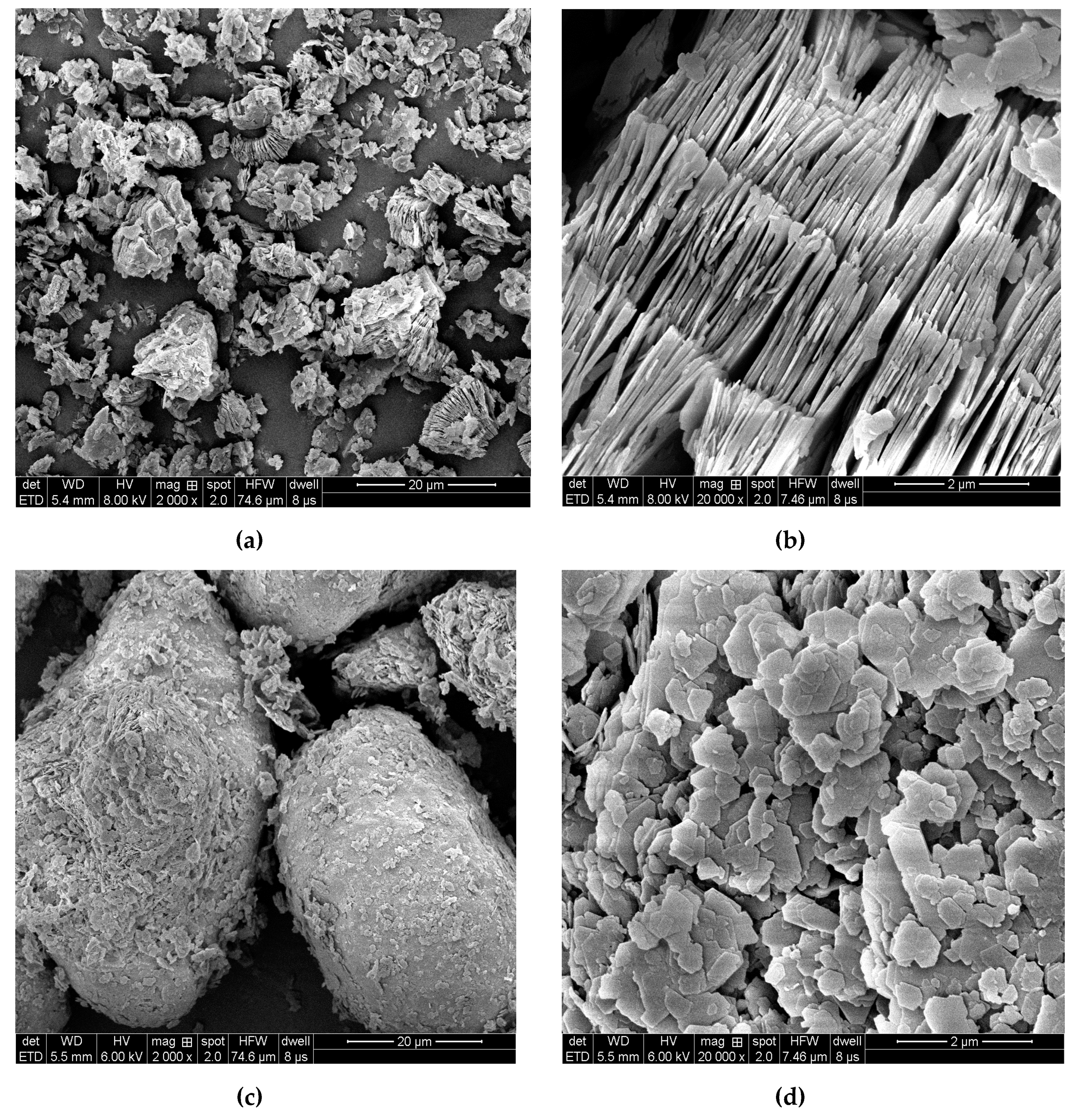 Molecules 24 03160 g004 Molecules 24 03160 g004